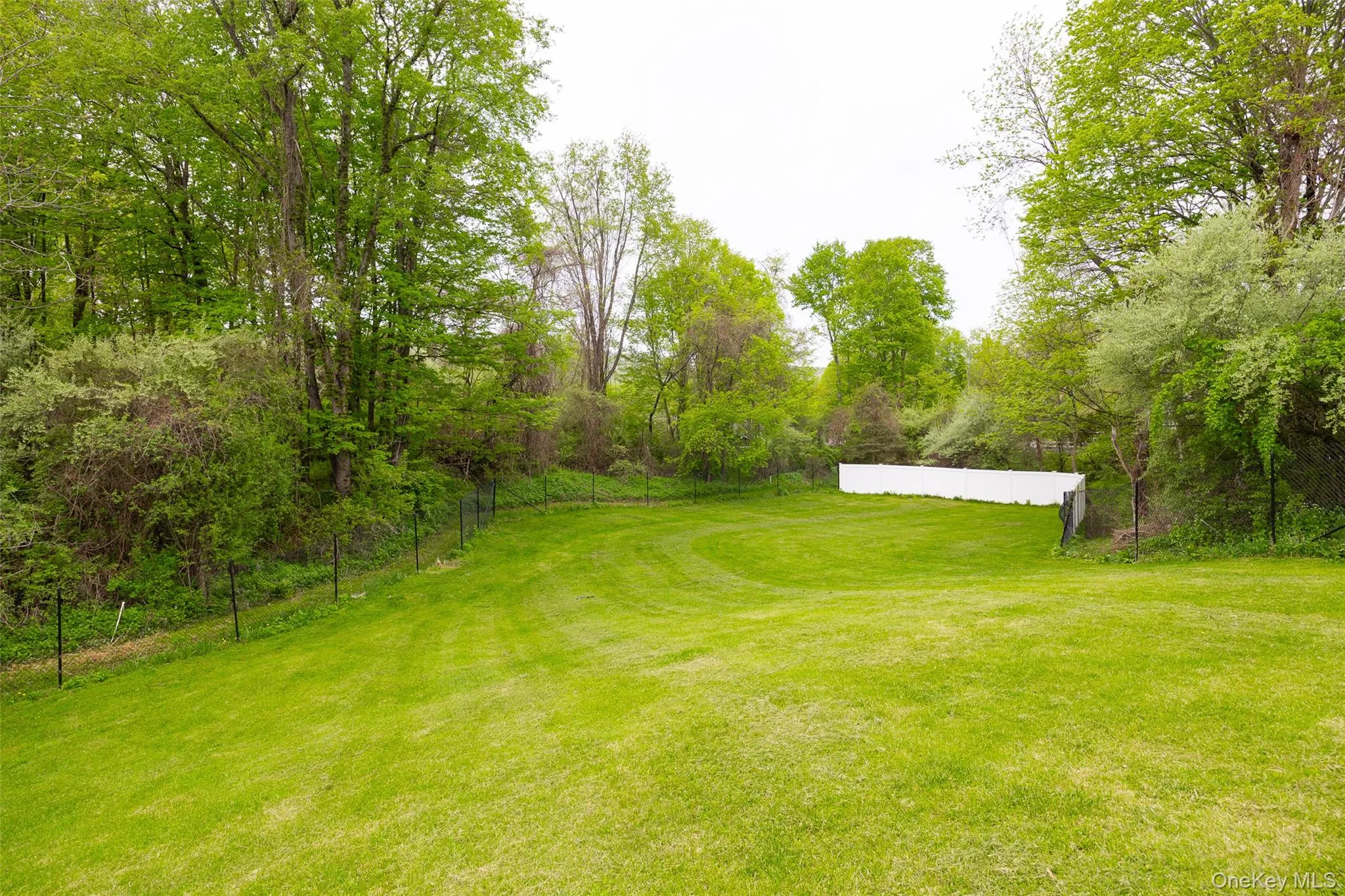 Expansive green lawn surrounded by mature trees, featuring a wire fence along the perimeter and a white privacy fence at the rear Expansive green lawn surrounded by mature trees, featuring a wire fence along the perimeter and a white privacy fence at the rear
