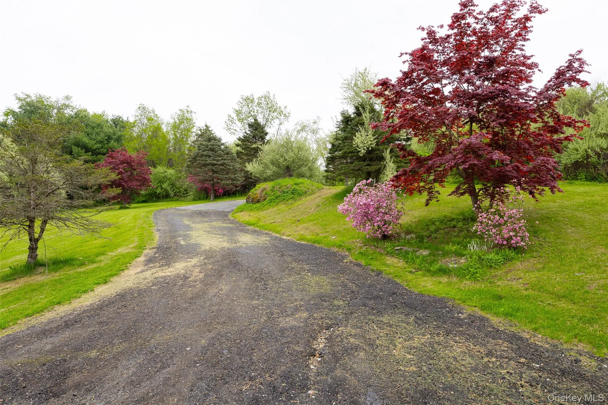 Winding driveway bordered by manicured lawns Winding driveway bordered by manicured lawns
