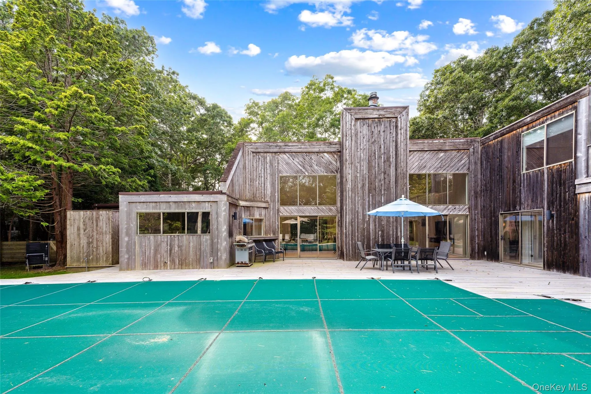 View of swimming pool featuring a grill View of swimming pool featuring a grill