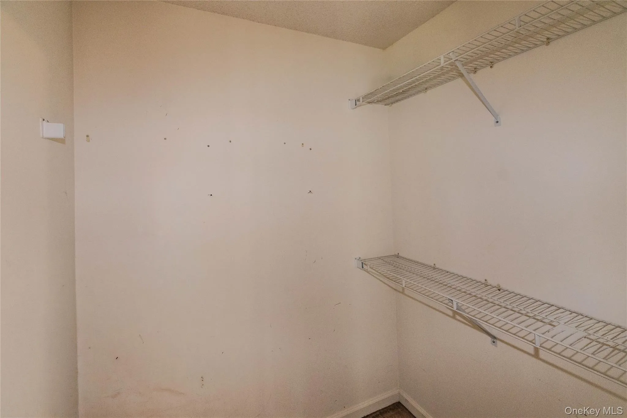255 Crestwood Court, Fishkill, NY, 2 Bedrooms Bedrooms, 7 Rooms Rooms,1 BathroomBathrooms,Residential,For Rent,Crestwood,0,1023155 255 Crestwood Court, Fishkill, NY, 2 Bedrooms Bedrooms, 7 Rooms Rooms,1 BathroomBathrooms,Residential,For Rent,Crestwood,0,1023155