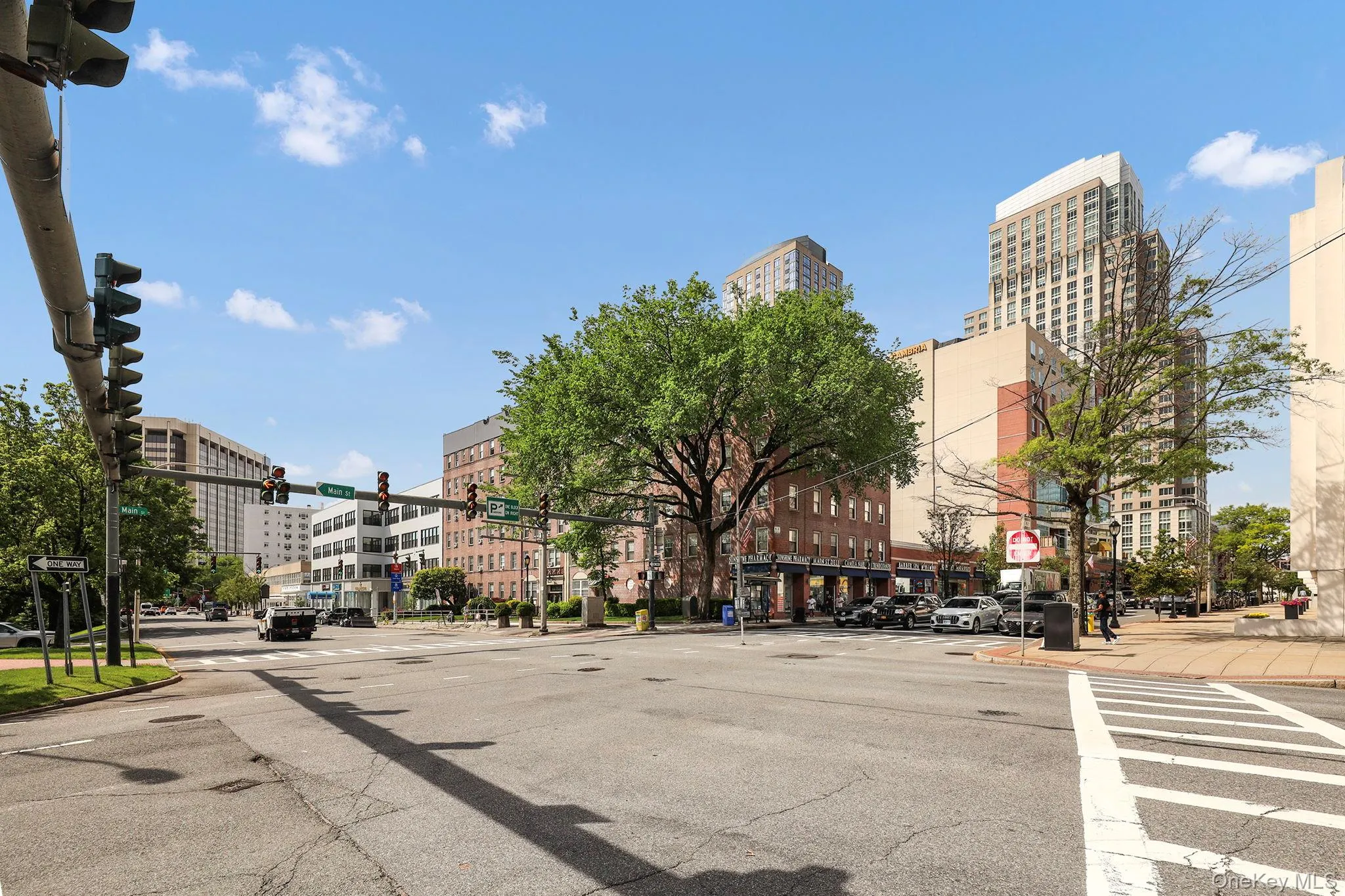 Experience the convenience of downtown White Plains with boutique shopping, acclaimed dining, cafés, and everyday conveniences just moments away. Experience the convenience of downtown White Plains with boutique shopping, acclaimed dining, cafés, and everyday conveniences just moments away.