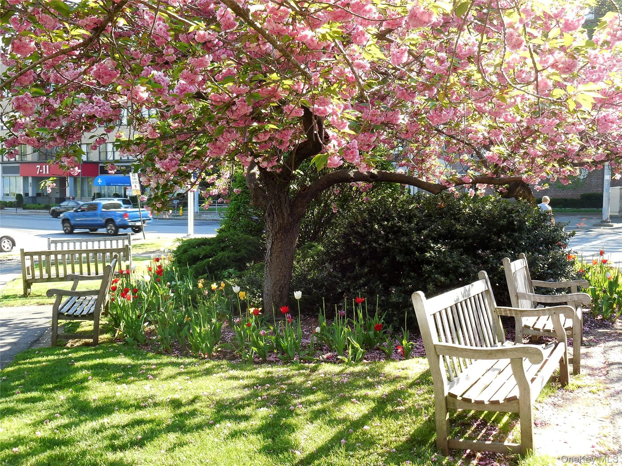 Enjoy peaceful green spaces and charming parks nestled in the heart of downtown White Plains—perfect for relaxing or meeting friends. Enjoy peaceful green spaces and charming parks nestled in the heart of downtown White Plains—perfect for relaxing or meeting friends.