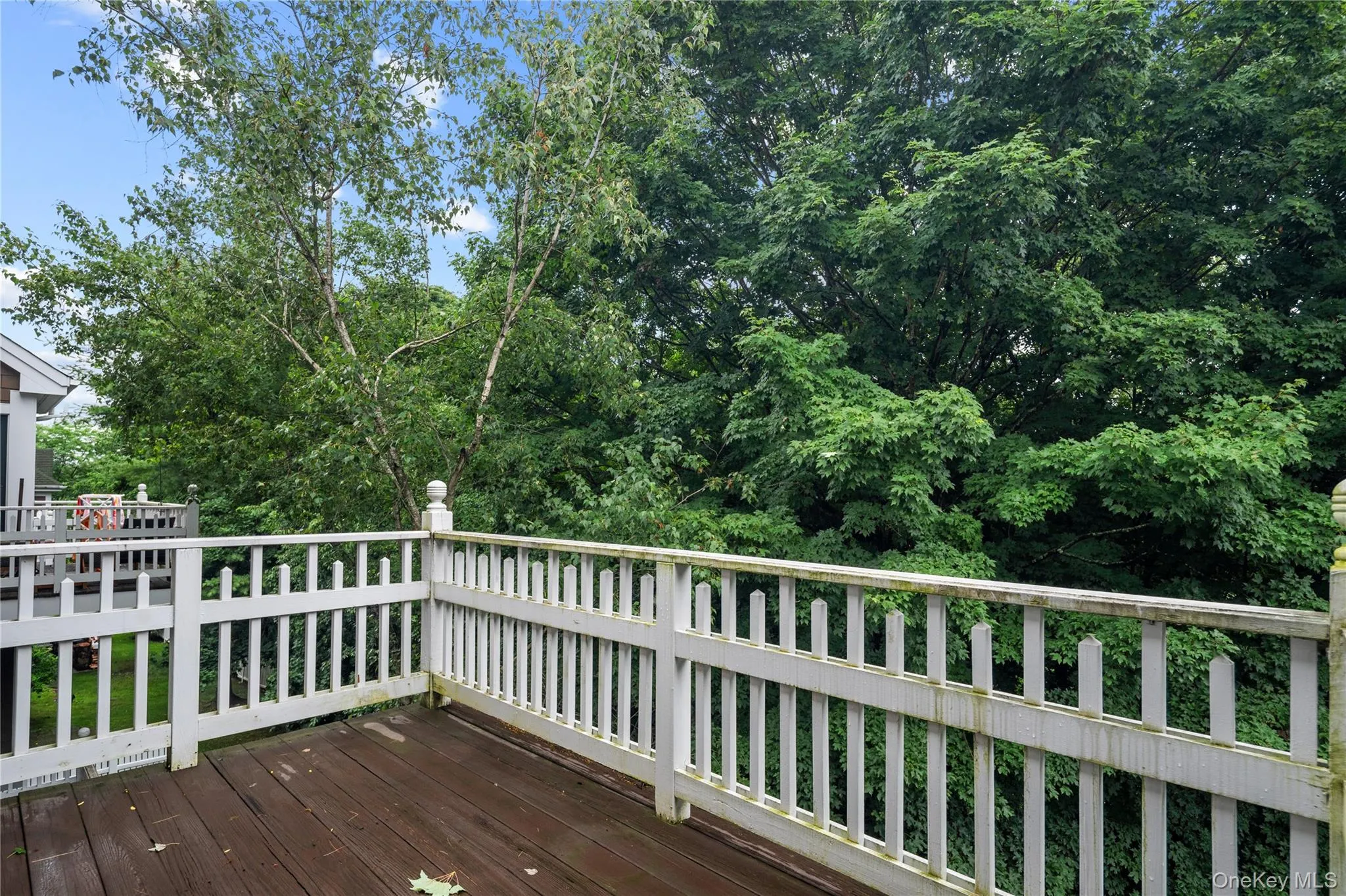 19 Winterberry Lane, Ossining, NY, 3 Bedrooms Bedrooms, 6 Rooms Rooms,2 BathroomsBathrooms,Residential,For Rent,Winterberry,0,1023233 19 Winterberry Lane, Ossining, NY, 3 Bedrooms Bedrooms, 6 Rooms Rooms,2 BathroomsBathrooms,Residential,For Rent,Winterberry,0,1023233