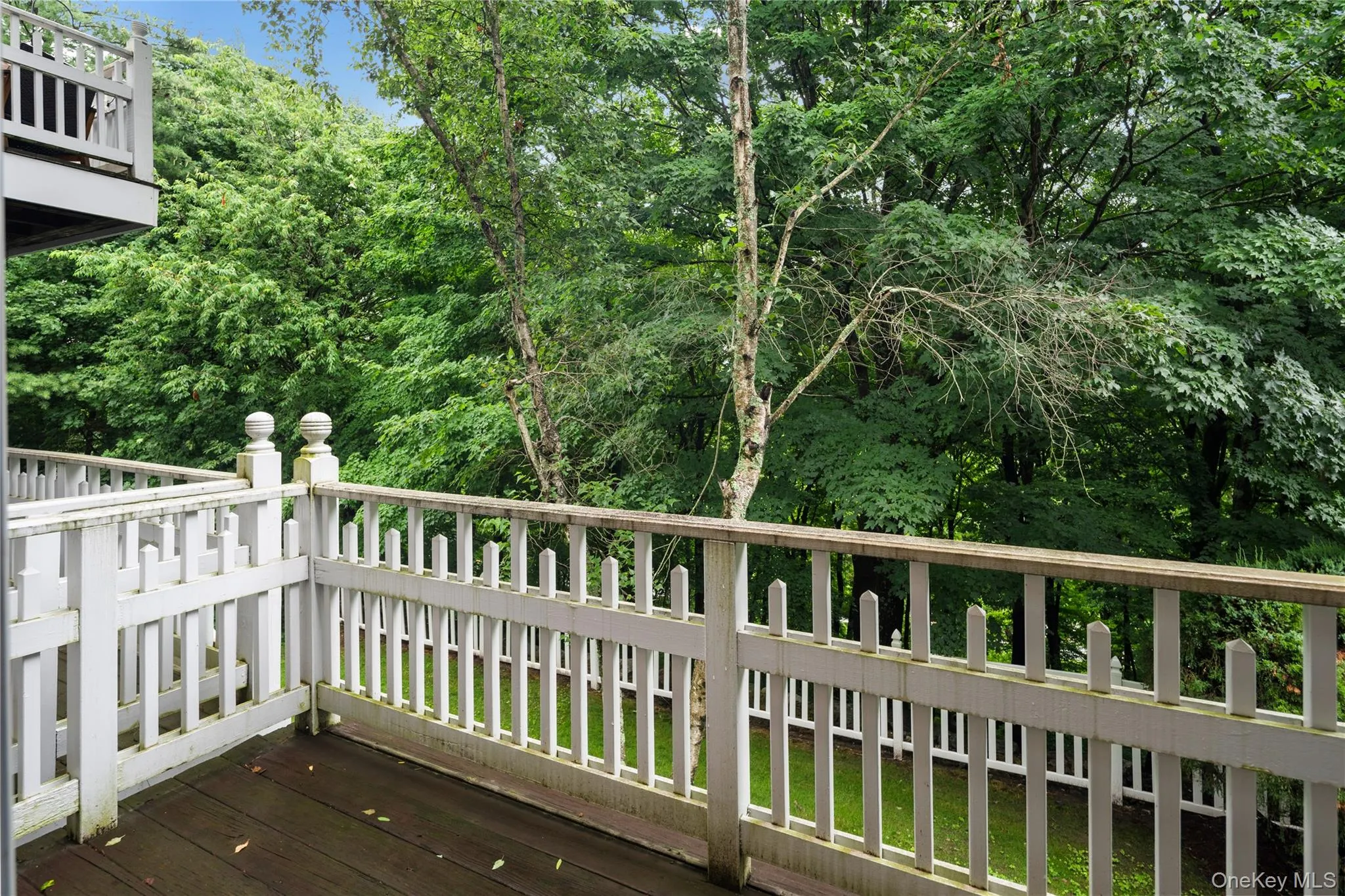 19 Winterberry Lane, Ossining, NY, 3 Bedrooms Bedrooms, 6 Rooms Rooms,2 BathroomsBathrooms,Residential,For Rent,Winterberry,0,1023233 19 Winterberry Lane, Ossining, NY, 3 Bedrooms Bedrooms, 6 Rooms Rooms,2 BathroomsBathrooms,Residential,For Rent,Winterberry,0,1023233
