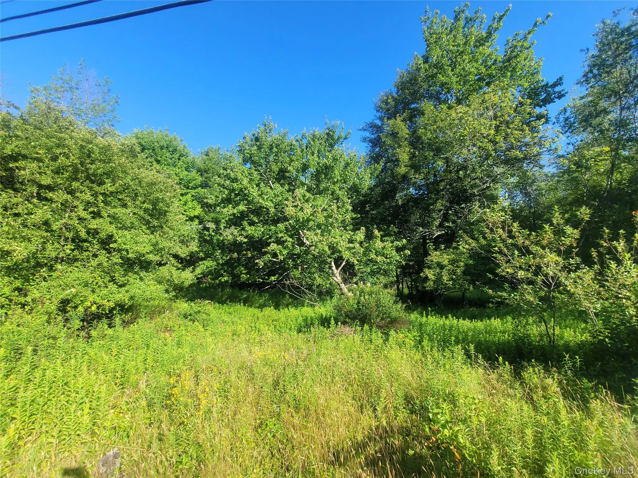 55 State Street, Liberty, NY, ,Land,For Rent,State,0,1023244 55 State Street, Liberty, NY, ,Land,For Rent,State,0,1023244