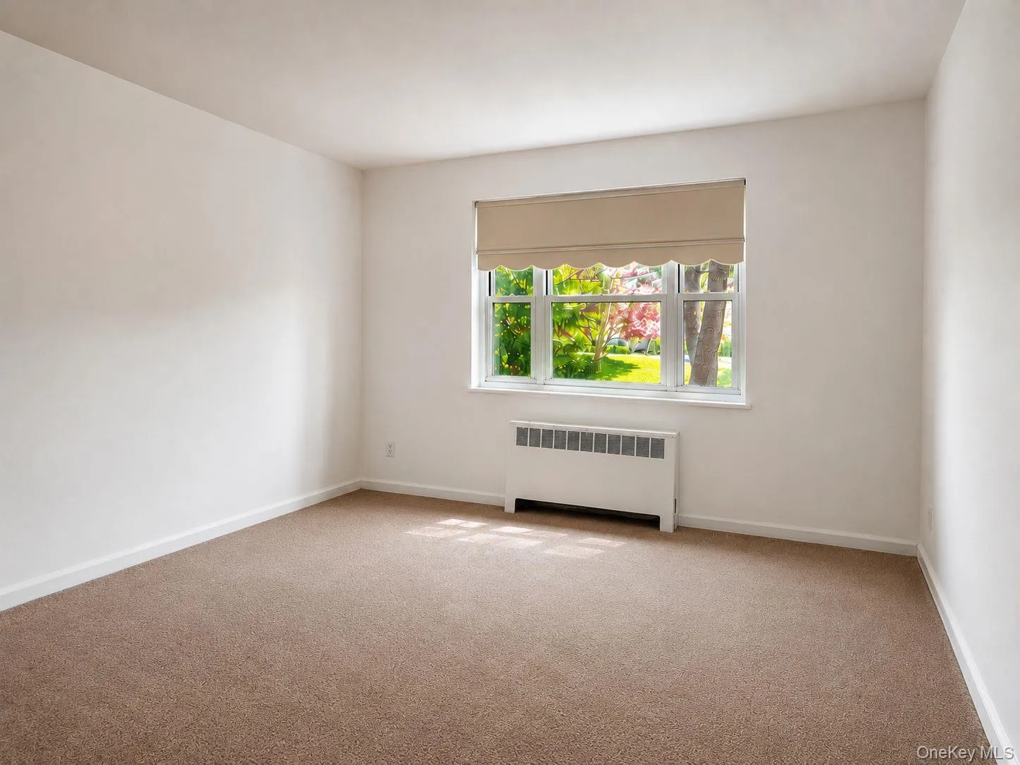 Primary Bedroom with great natural light, freshly painted walls and brand new carpet Primary Bedroom with great natural light, freshly painted walls and brand new carpet