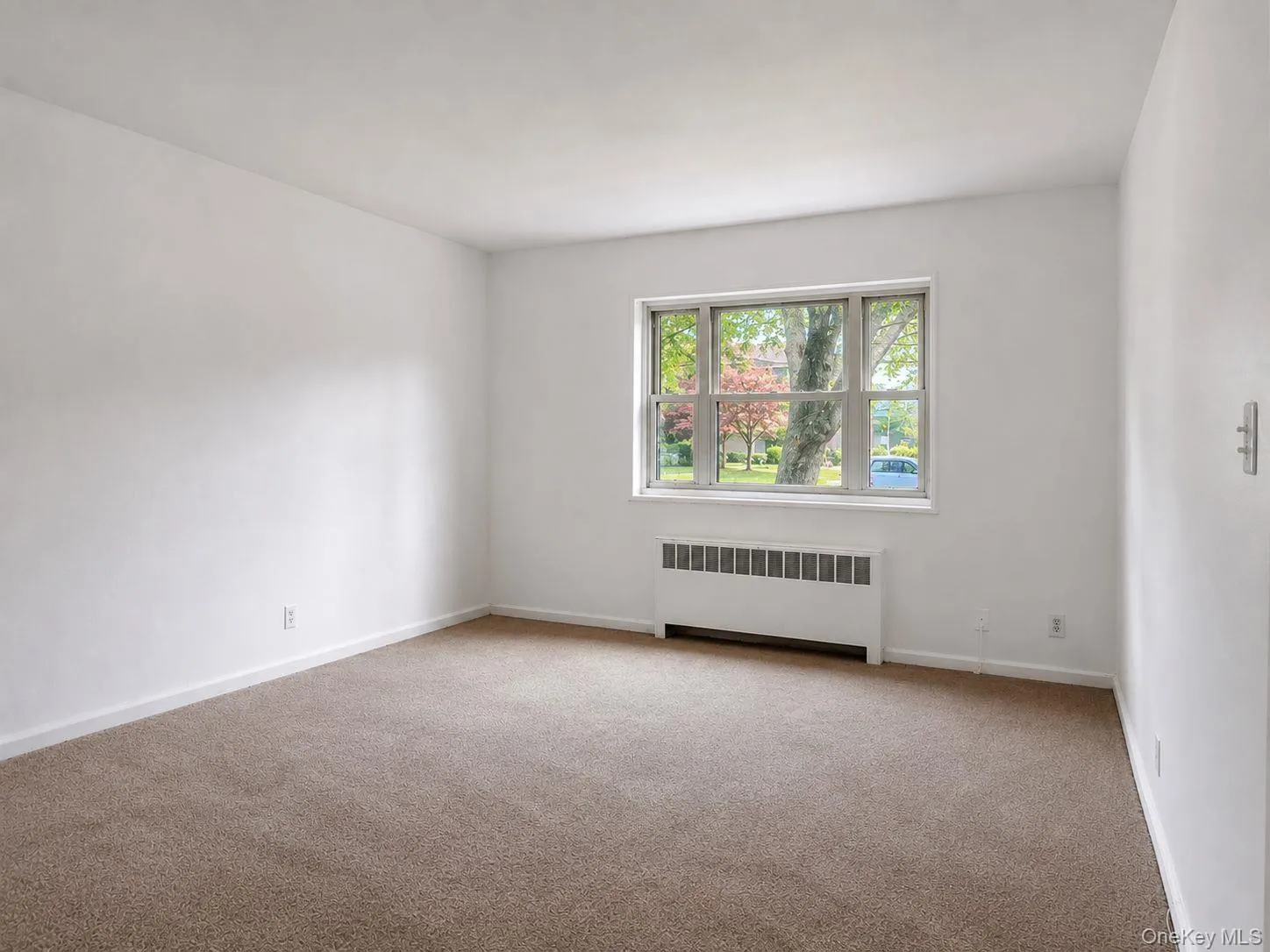 Living Room with great natural light, freshly painted walls and brand new carpet Living Room with great natural light, freshly painted walls and brand new carpet