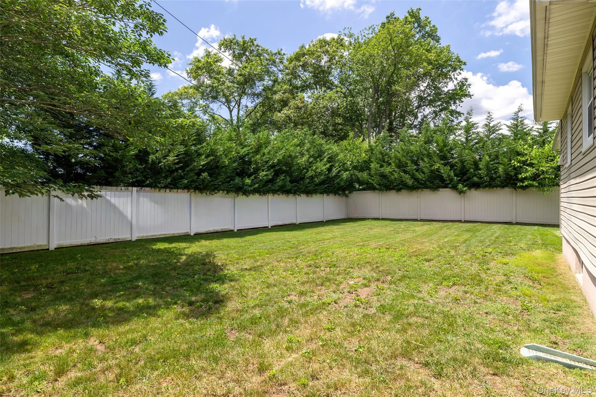 3902 Clove Court, Hempstead, NY, 3 Bedrooms Bedrooms, 6 Rooms Rooms,2 BathroomsBathrooms,Residential,For Rent,Clove,0,1023265 3902 Clove Court, Hempstead, NY, 3 Bedrooms Bedrooms, 6 Rooms Rooms,2 BathroomsBathrooms,Residential,For Rent,Clove,0,1023265