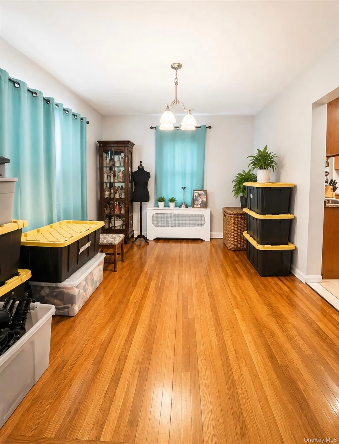2729 Gifford Avenue, New York, NY, 3 Bedrooms Bedrooms, 7 Rooms Rooms,2 BathroomsBathrooms,Residential,For Rent,Gifford,0,1023287 2729 Gifford Avenue, New York, NY, 3 Bedrooms Bedrooms, 7 Rooms Rooms,2 BathroomsBathrooms,Residential,For Rent,Gifford,0,1023287