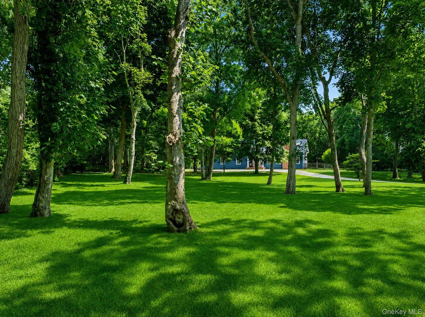 17 Baiting Hollow Road, East Hampton, NY, 3 Bedrooms Bedrooms, 8 Rooms Rooms,2 BathroomsBathrooms,Residential,For Rent,Baiting Hollow,0,1023293 17 Baiting Hollow Road, East Hampton, NY, 3 Bedrooms Bedrooms, 8 Rooms Rooms,2 BathroomsBathrooms,Residential,For Rent,Baiting Hollow,0,1023293