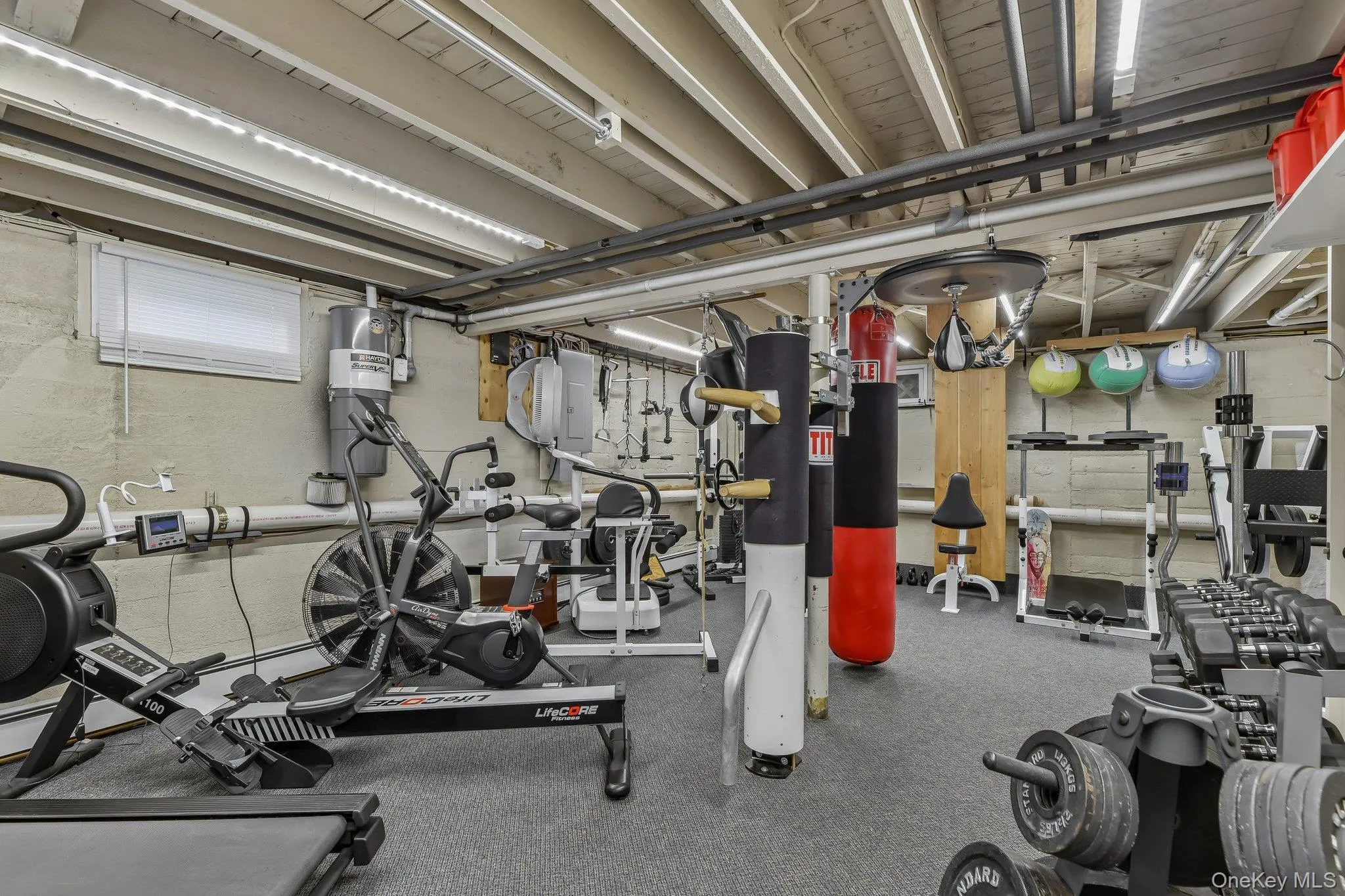 3745 Locust Avenue, Hempstead, NY, 3 Bedrooms Bedrooms, 6 Rooms Rooms,2 BathroomsBathrooms,Residential,For Rent,Locust,0,1023366 3745 Locust Avenue, Hempstead, NY, 3 Bedrooms Bedrooms, 6 Rooms Rooms,2 BathroomsBathrooms,Residential,For Rent,Locust,0,1023366