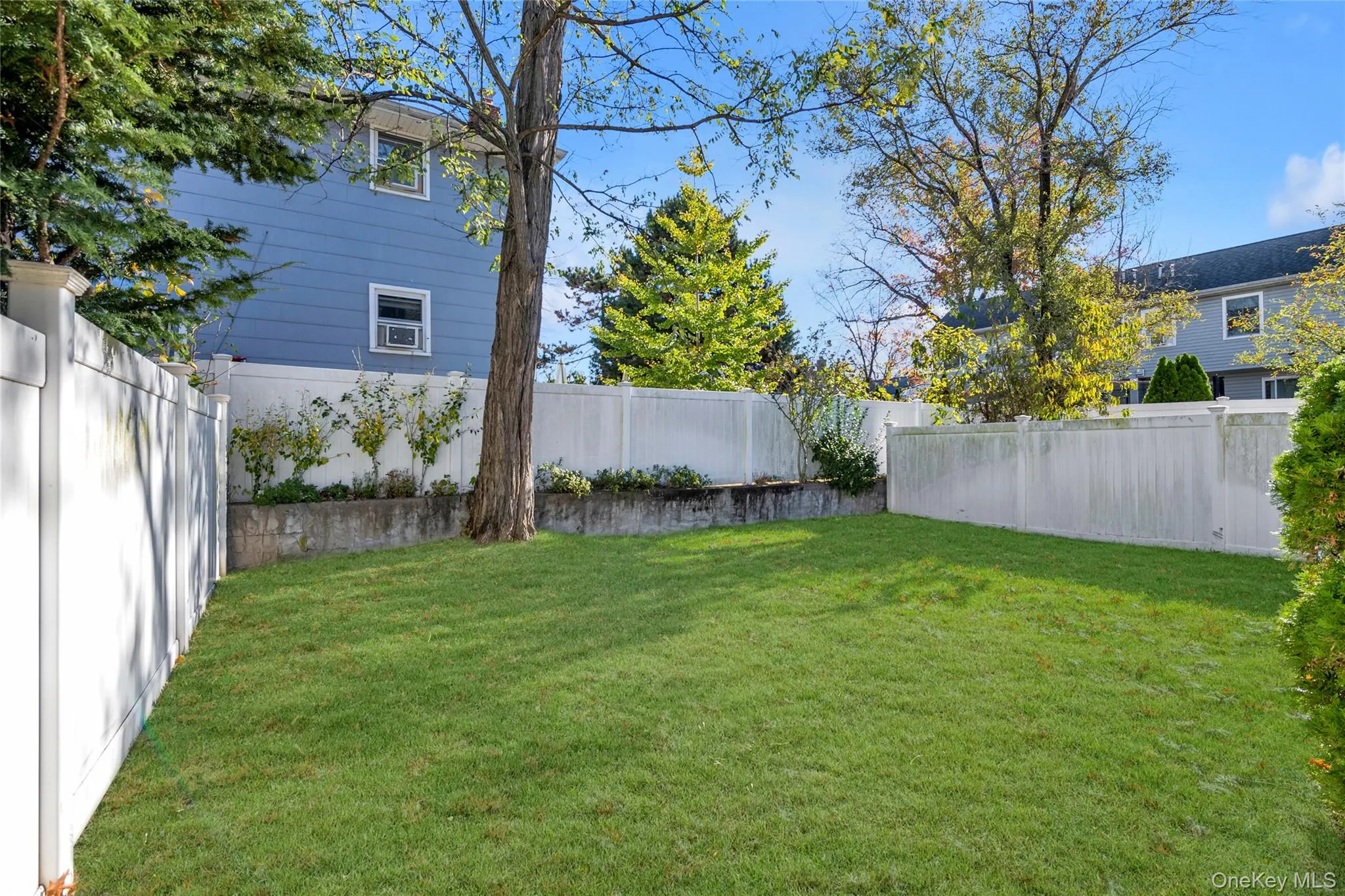 Shared yard Shared yard