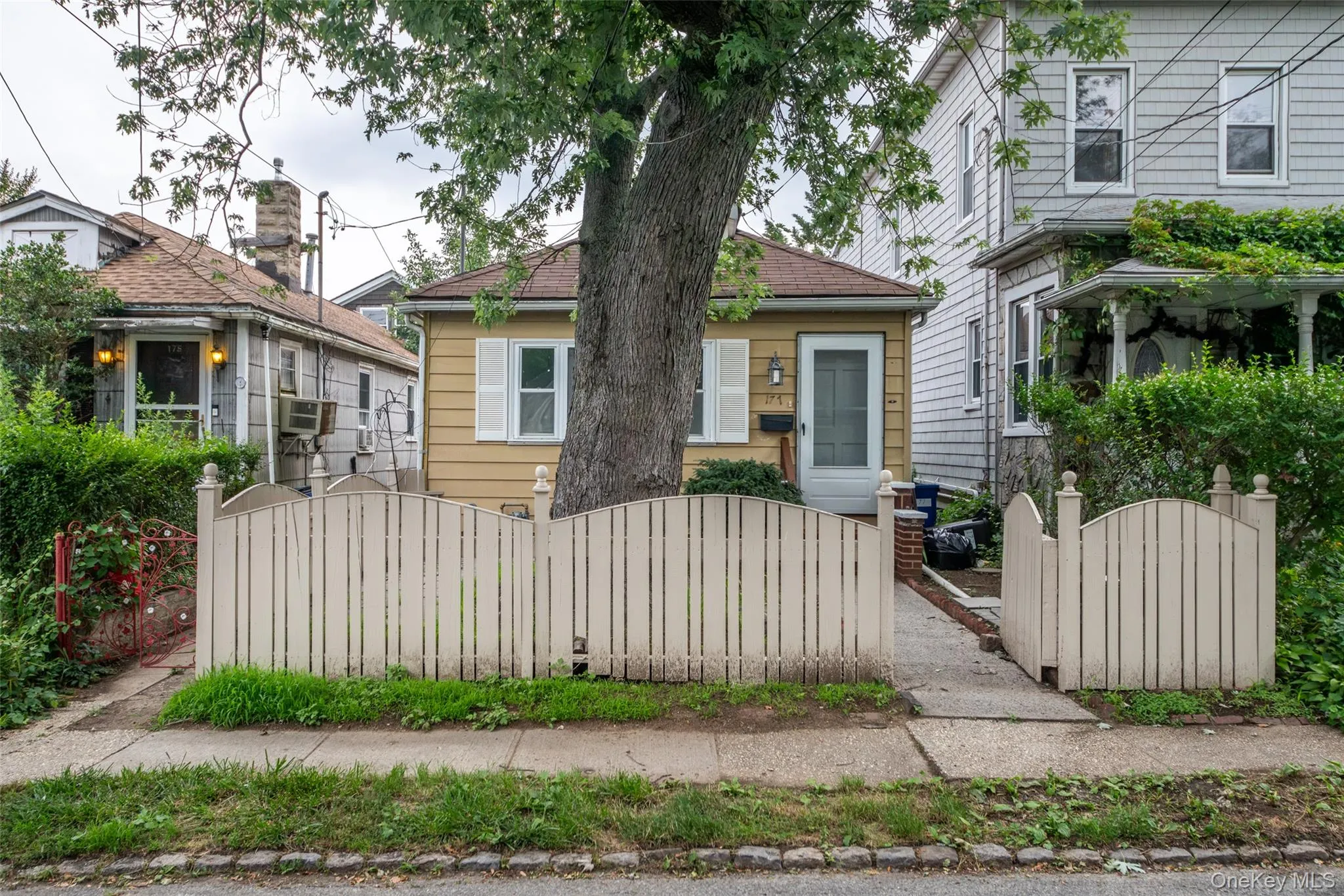 177 Terrace Street, New York, NY, 2 Bedrooms Bedrooms, 5 Rooms Rooms,1 BathroomBathrooms,Residential,For Rent,Terrace,0,1023397 177 Terrace Street, New York, NY, 2 Bedrooms Bedrooms, 5 Rooms Rooms,1 BathroomBathrooms,Residential,For Rent,Terrace,0,1023397