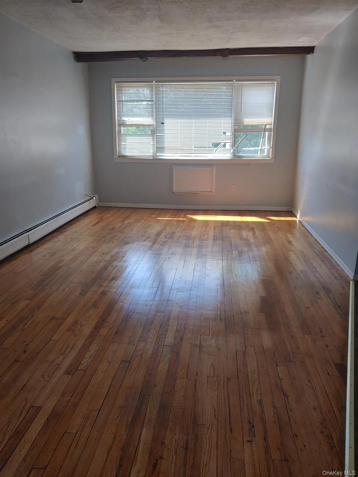 8829 Pontiac, New York, NY, 2 Bedrooms Bedrooms, 5 Rooms Rooms,1 BathroomBathrooms,Residential Lease,For Rent,Pontiac,0,1023406 8829 Pontiac, New York, NY, 2 Bedrooms Bedrooms, 5 Rooms Rooms,1 BathroomBathrooms,Residential Lease,For Rent,Pontiac,0,1023406