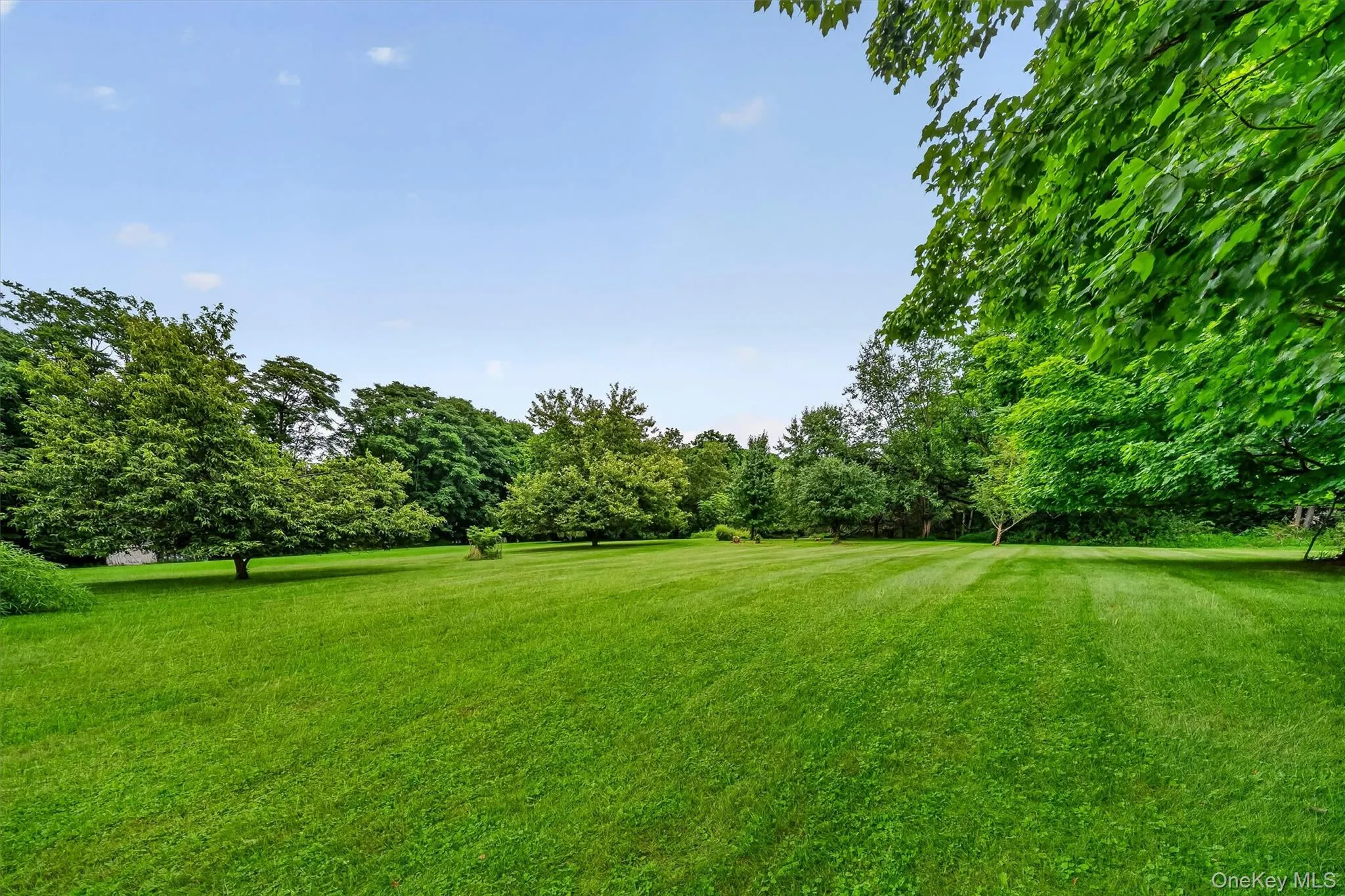 72 Station Road, Blooming Grove, NY, 4 Bedrooms Bedrooms, 8 Rooms Rooms,2 BathroomsBathrooms,Residential,For Rent,Station,0,1023446 72 Station Road, Blooming Grove, NY, 4 Bedrooms Bedrooms, 8 Rooms Rooms,2 BathroomsBathrooms,Residential,For Rent,Station,0,1023446