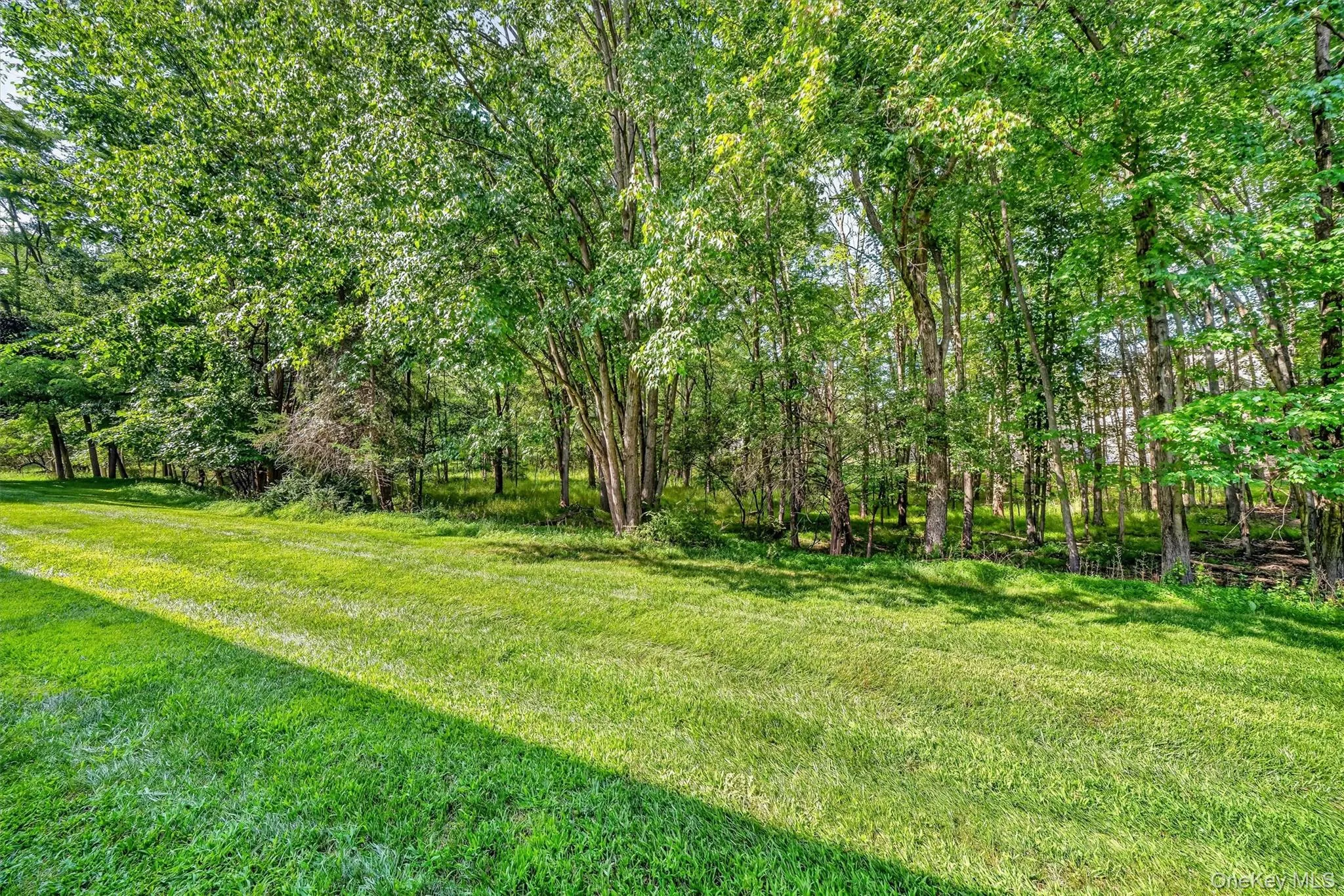 65 Yorkshire Terrace, Blooming Grove, NY, 2 Bedrooms Bedrooms, 5 Rooms Rooms,2 BathroomsBathrooms,Residential,For Rent,Yorkshire,0,1023471 65 Yorkshire Terrace, Blooming Grove, NY, 2 Bedrooms Bedrooms, 5 Rooms Rooms,2 BathroomsBathrooms,Residential,For Rent,Yorkshire,0,1023471