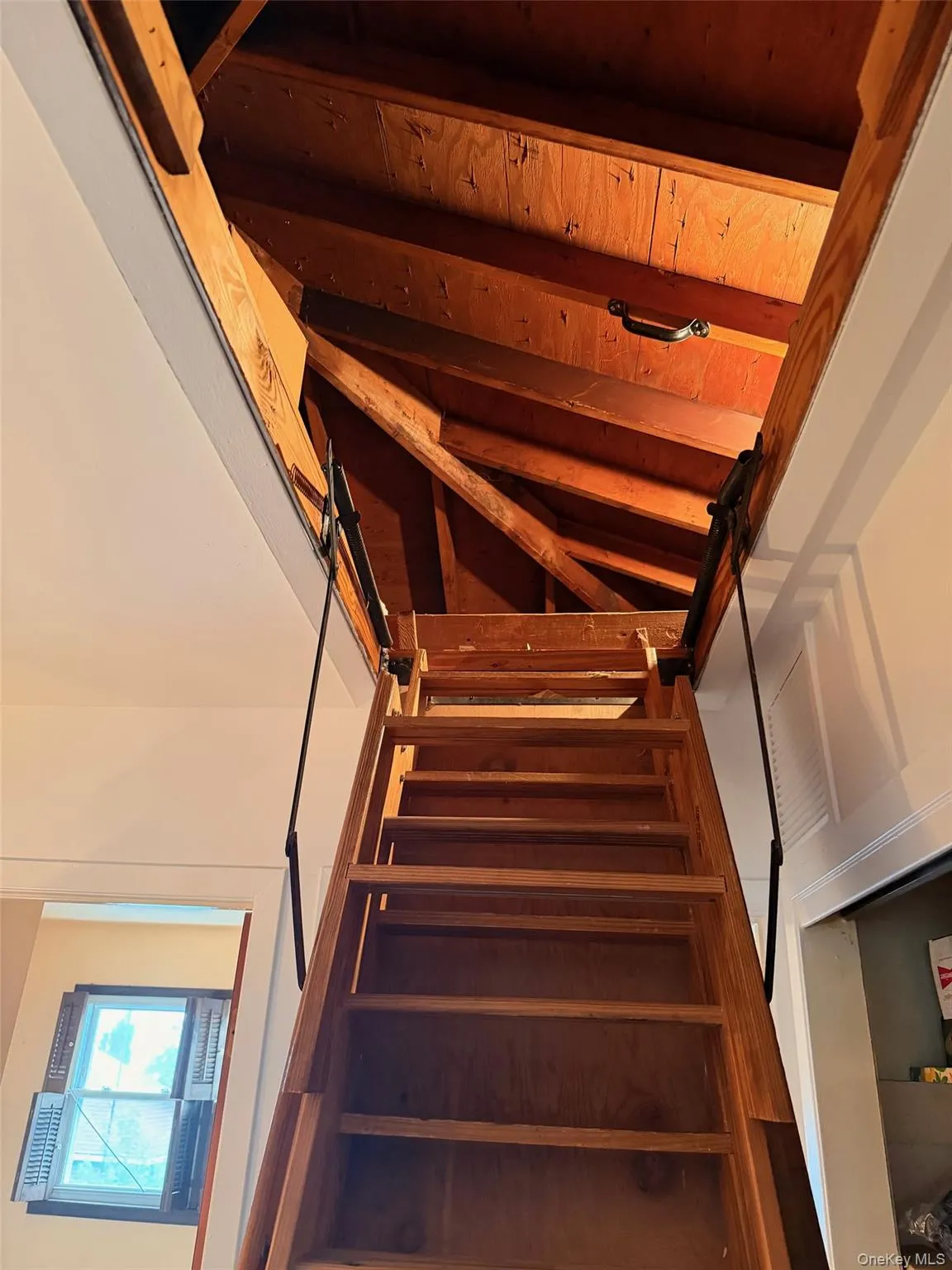 3224 Watt Avenue, New York, NY, 3 Bedrooms Bedrooms, 5 Rooms Rooms,1 BathroomBathrooms,Residential,For Rent,Watt,0,1023519 3224 Watt Avenue, New York, NY, 3 Bedrooms Bedrooms, 5 Rooms Rooms,1 BathroomBathrooms,Residential,For Rent,Watt,0,1023519