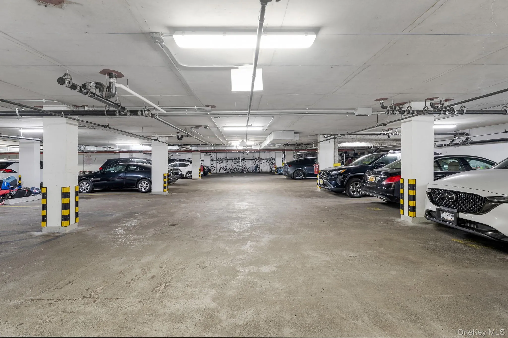 1414 4th Street, New York, NY, 3 Bedrooms Bedrooms, 6 Rooms Rooms,2 BathroomsBathrooms,Residential,For Rent,4th,0,1023521 1414 4th Street, New York, NY, 3 Bedrooms Bedrooms, 6 Rooms Rooms,2 BathroomsBathrooms,Residential,For Rent,4th,0,1023521