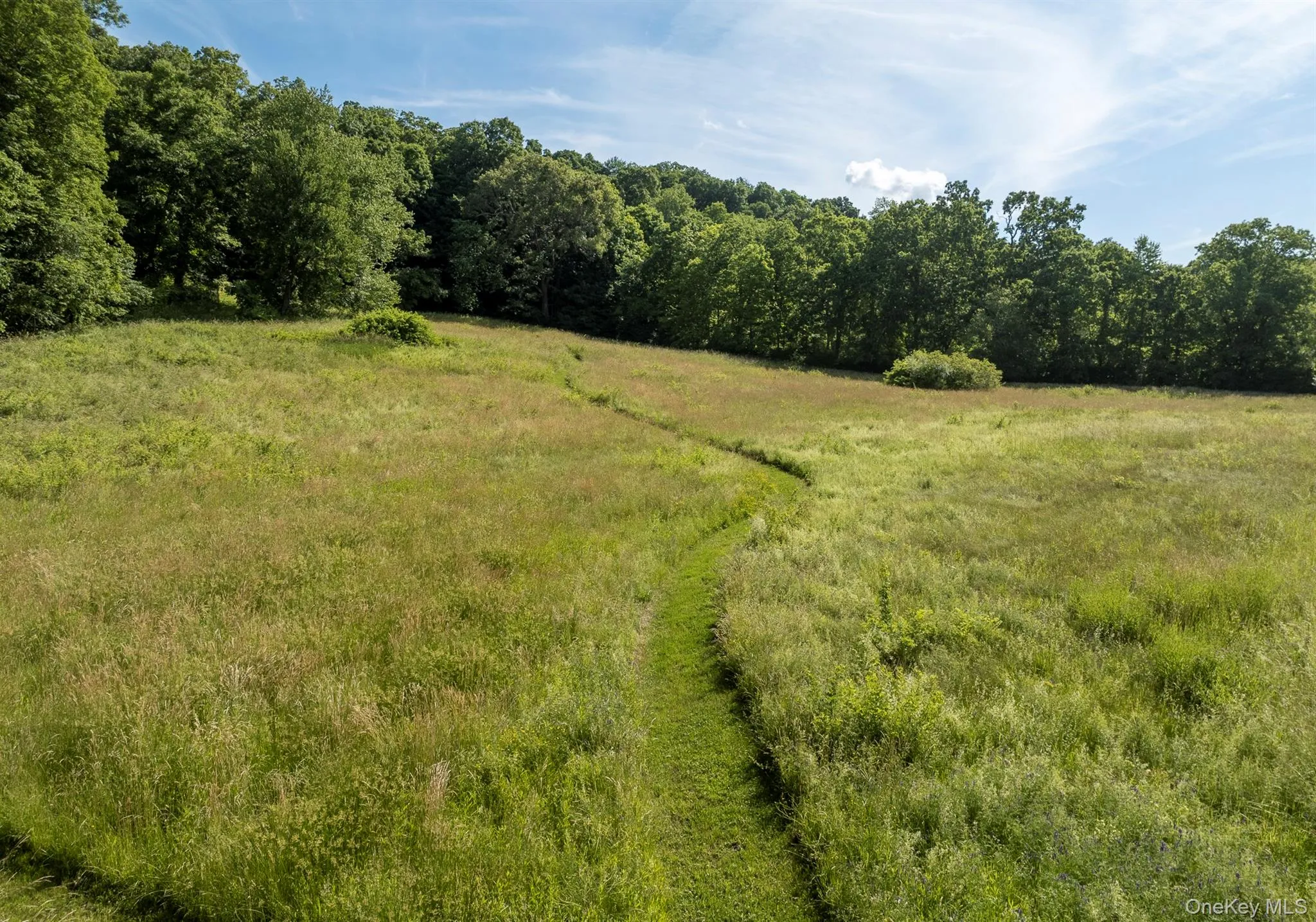 Magical Walking Paths throughout the meadow to a special bench that overlooks the property Magical Walking Paths throughout the meadow to a special bench that overlooks the property