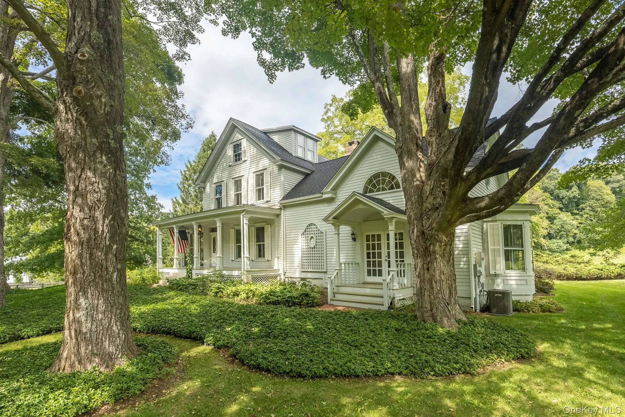 Stunning House with Towering Trees Stunning House with Towering Trees