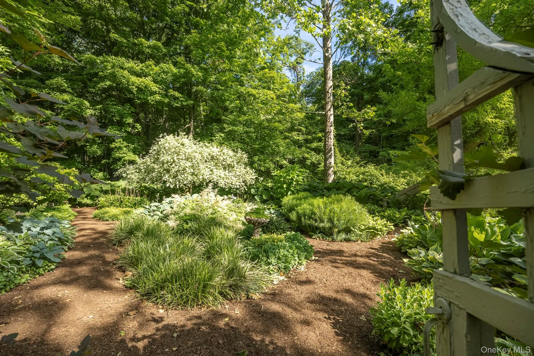 Secret Shade Garden Secret Shade Garden