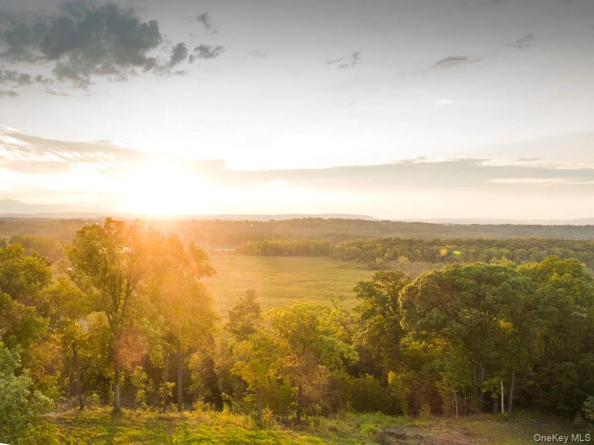 View of local wilderness featuring a wooded view View of local wilderness featuring a wooded view