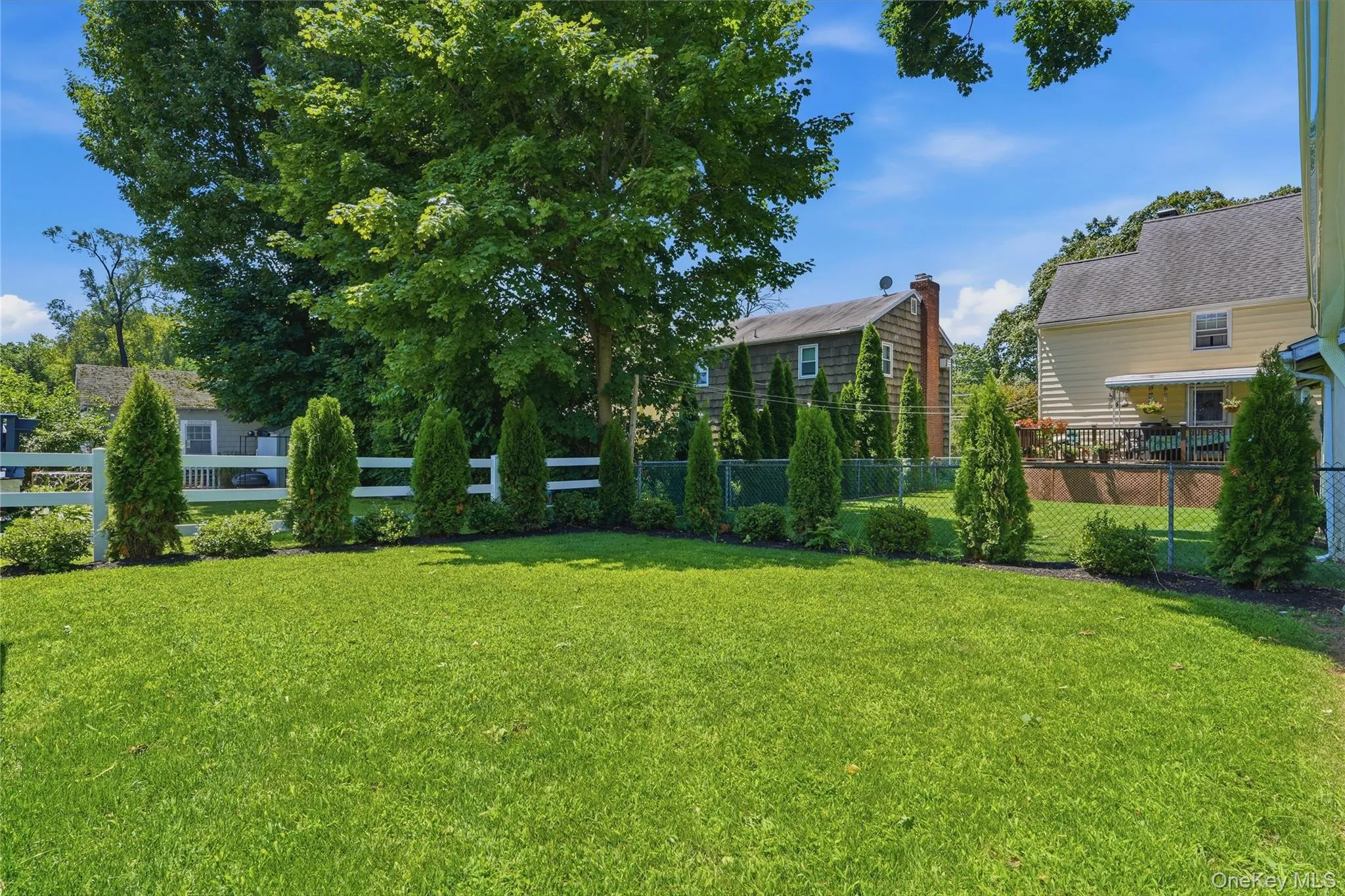 Backyard Backyard