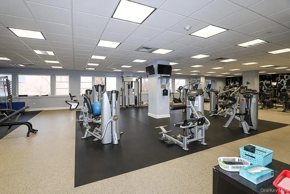 top-of-the line gym top-of-the line gym