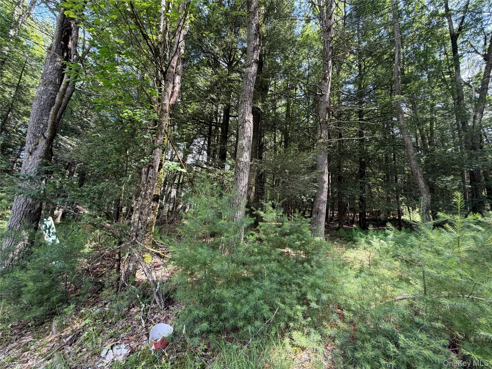 60 Highland Lake Road, Highland, NY, 3 Bedrooms Bedrooms, 6 Rooms Rooms,2 BathroomsBathrooms,Residential,For Rent,Highland Lake,0,1023594 60 Highland Lake Road, Highland, NY, 3 Bedrooms Bedrooms, 6 Rooms Rooms,2 BathroomsBathrooms,Residential,For Rent,Highland Lake,0,1023594
