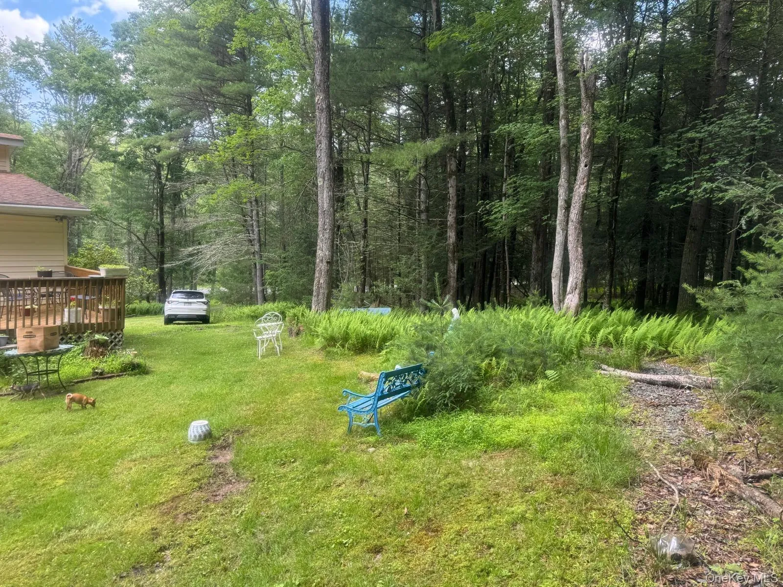 60 Highland Lake Road, Highland, NY, 3 Bedrooms Bedrooms, 6 Rooms Rooms,2 BathroomsBathrooms,Residential,For Rent,Highland Lake,0,1023594 60 Highland Lake Road, Highland, NY, 3 Bedrooms Bedrooms, 6 Rooms Rooms,2 BathroomsBathrooms,Residential,For Rent,Highland Lake,0,1023594