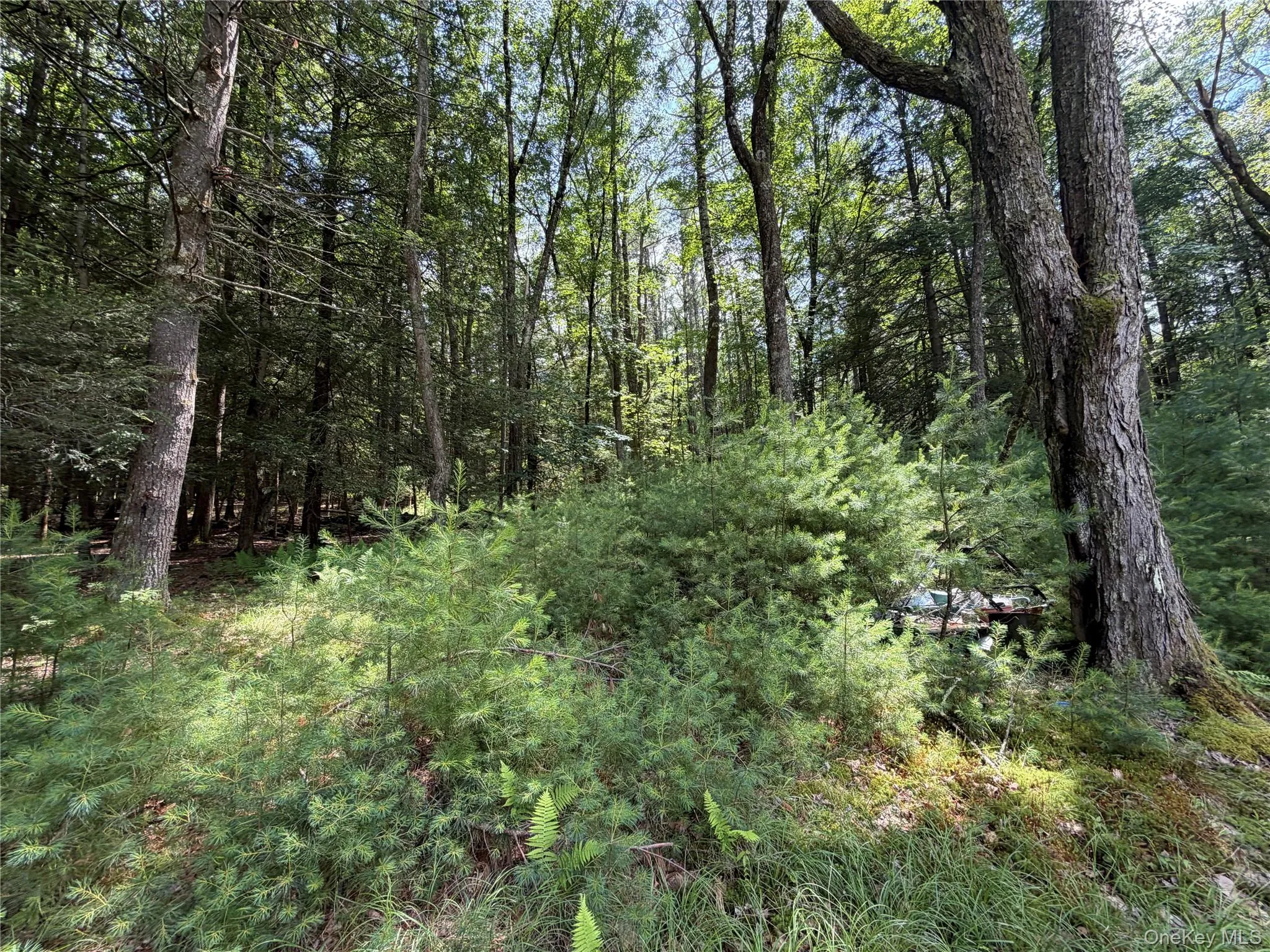 60 Highland Lake Road, Highland, NY, 3 Bedrooms Bedrooms, 6 Rooms Rooms,2 BathroomsBathrooms,Residential,For Rent,Highland Lake,0,1023594 60 Highland Lake Road, Highland, NY, 3 Bedrooms Bedrooms, 6 Rooms Rooms,2 BathroomsBathrooms,Residential,For Rent,Highland Lake,0,1023594