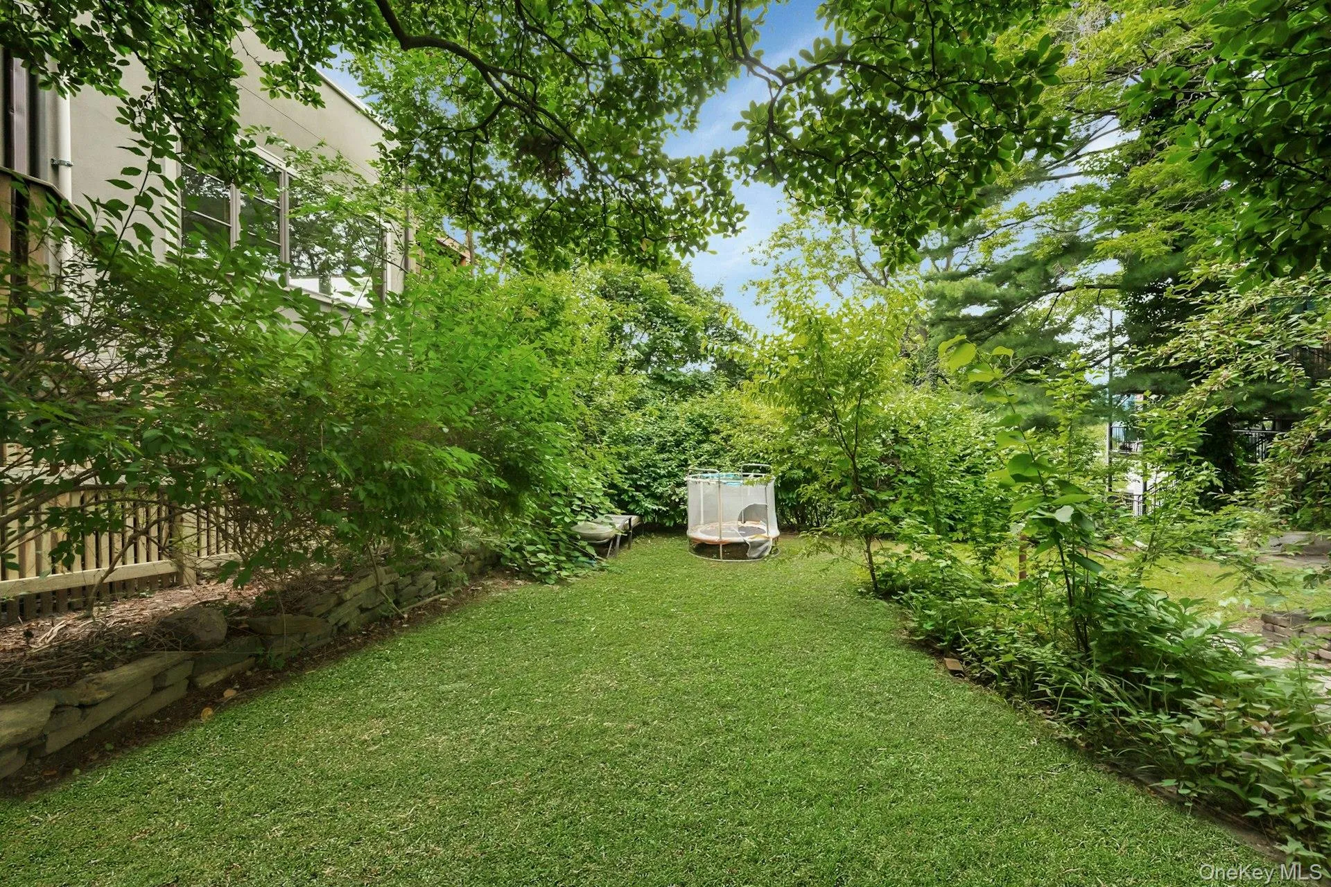Backyard Backyard