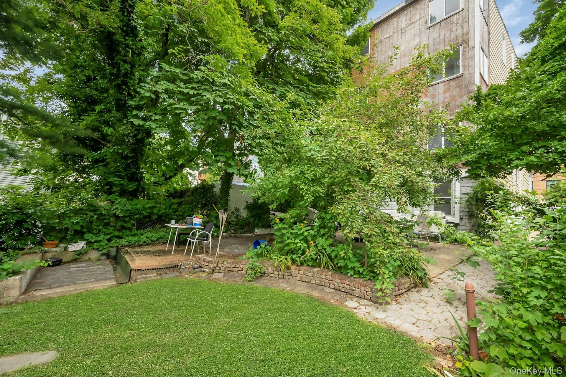 Backyard Backyard