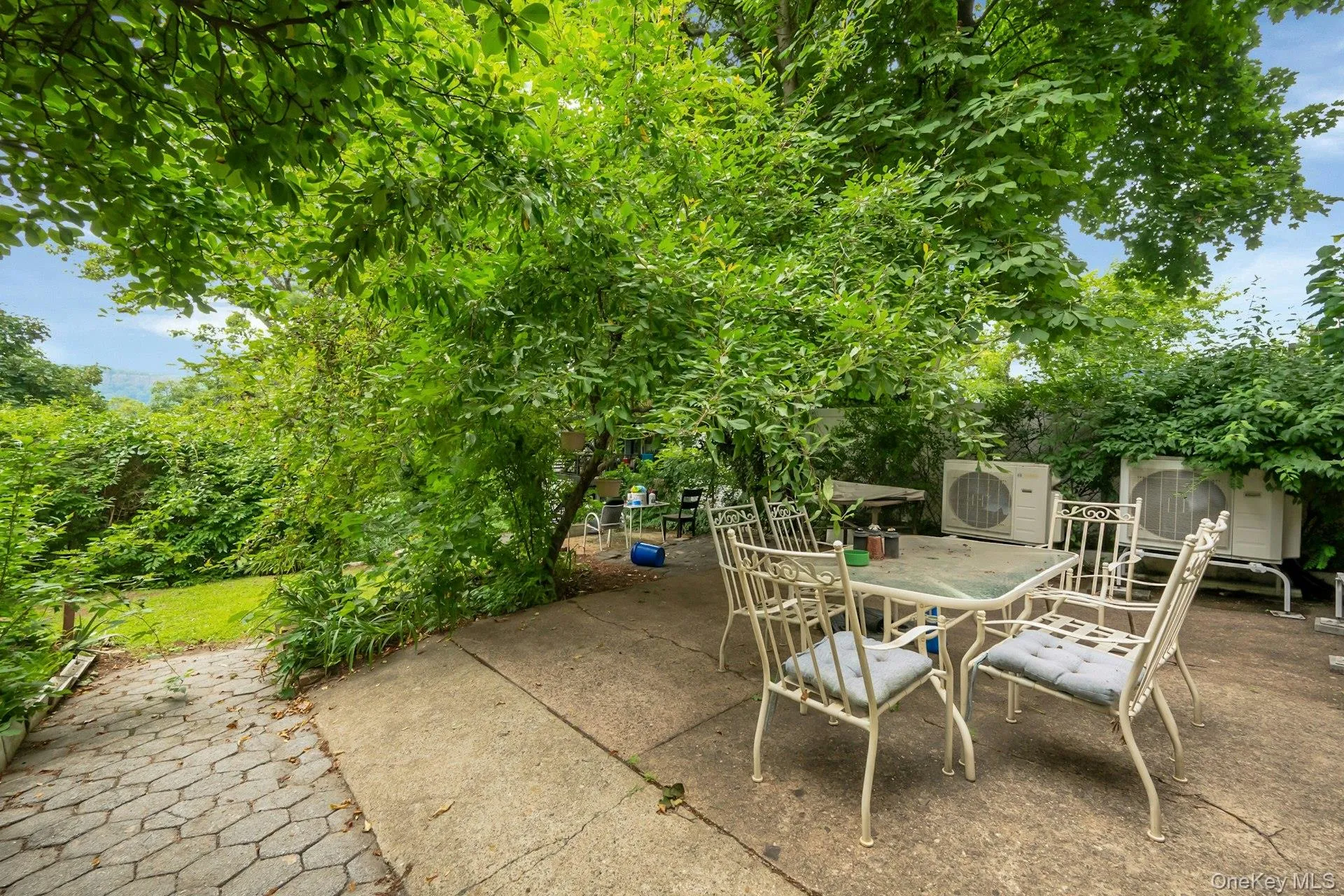 Backyard Backyard