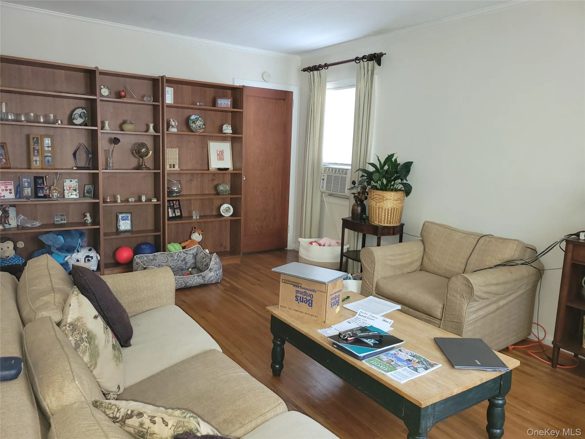84-18 Commonwealth Boulevard, New York, NY, 3 Bedrooms Bedrooms, 6 Rooms Rooms,1 BathroomBathrooms,Residential,For Rent,Commonwealth,0,1023722 84-18 Commonwealth Boulevard, New York, NY, 3 Bedrooms Bedrooms, 6 Rooms Rooms,1 BathroomBathrooms,Residential,For Rent,Commonwealth,0,1023722