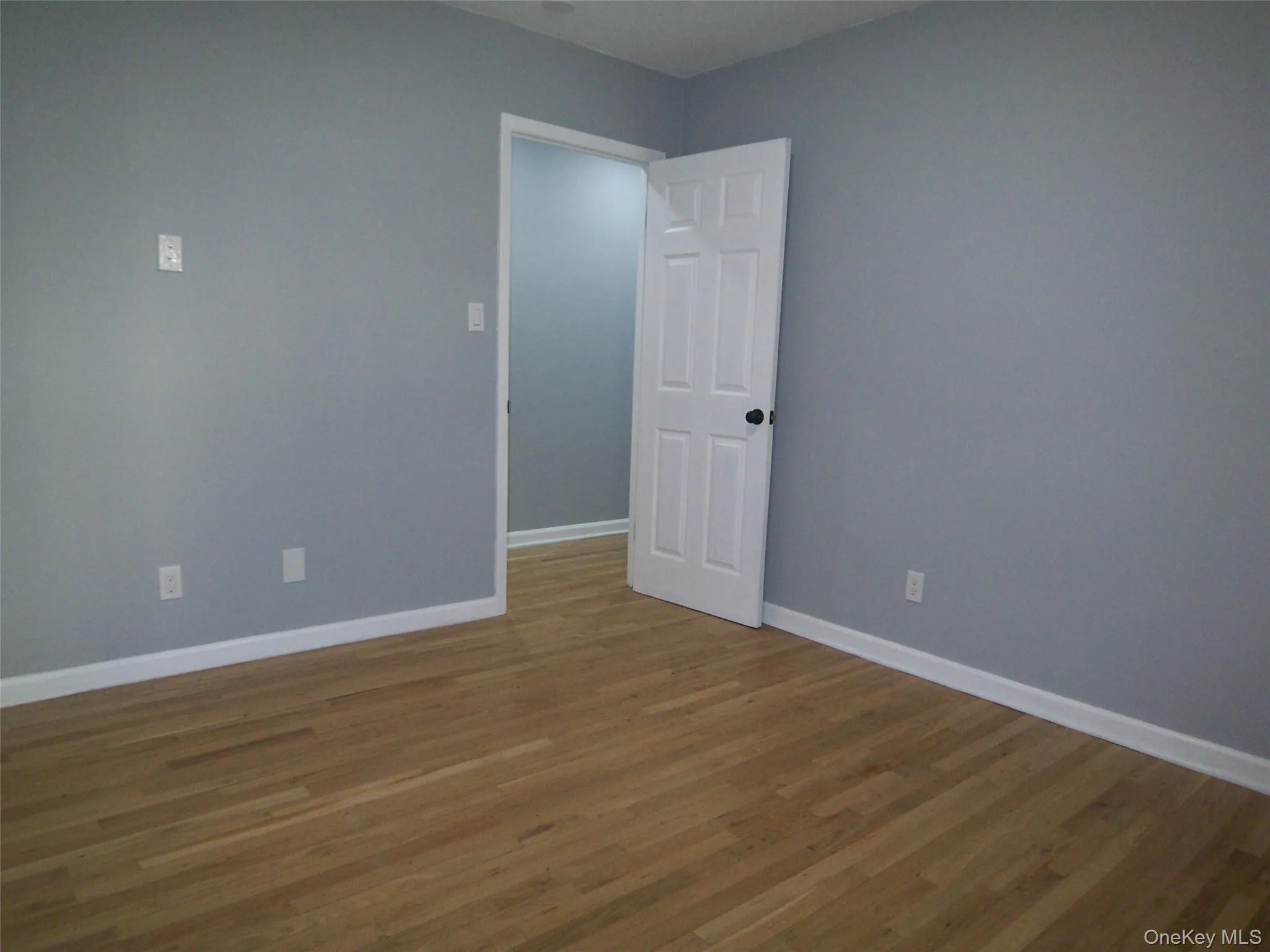 Room featuring wood-finish flooring, light gray walls, white baseboards, and a white paneled door with a black knob Room featuring wood-finish flooring, light gray walls, white baseboards, and a white paneled door with a black knob