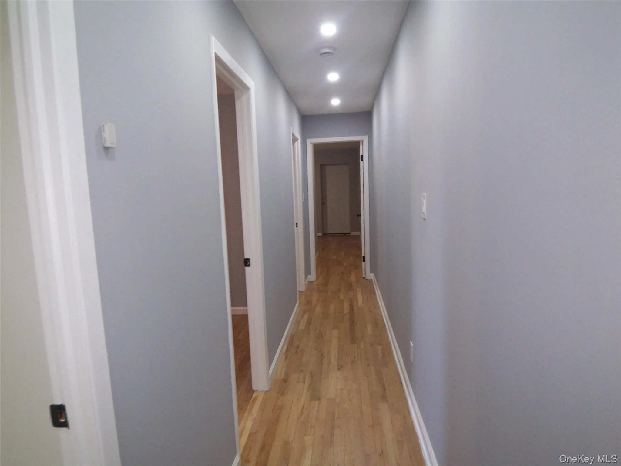 Light wood-finish flooring extending through a hallway with light gray walls Light wood-finish flooring extending through a hallway with light gray walls