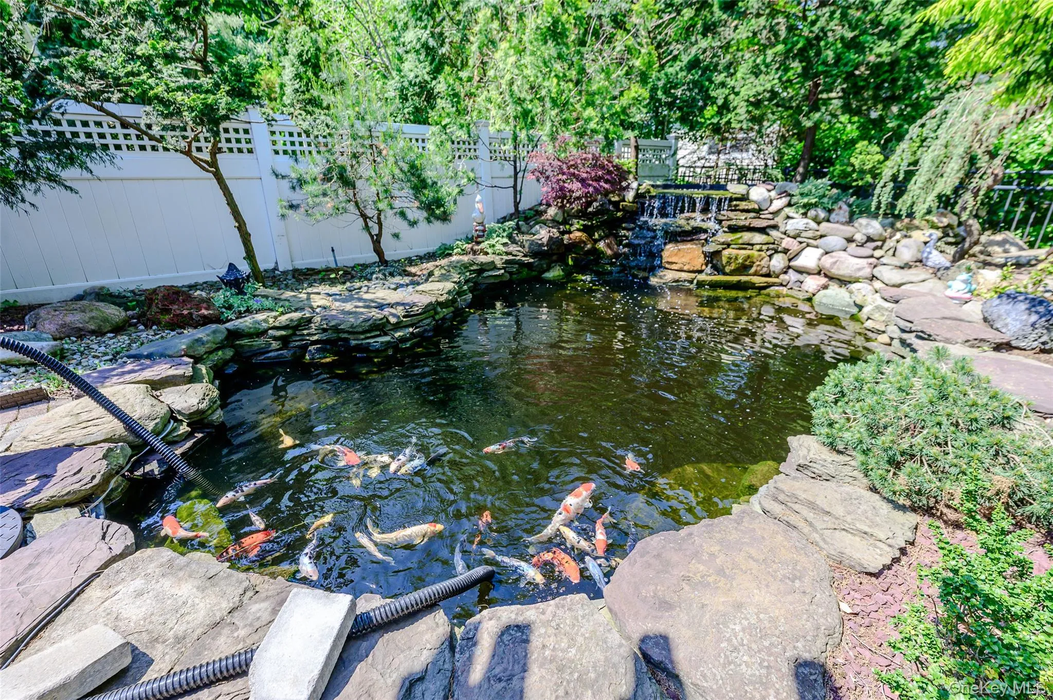 10 Dorset Lane, Hempstead, NY, 3 Bedrooms Bedrooms, 6 Rooms Rooms,2 BathroomsBathrooms,Residential,For Rent,Dorset,0,1023780 10 Dorset Lane, Hempstead, NY, 3 Bedrooms Bedrooms, 6 Rooms Rooms,2 BathroomsBathrooms,Residential,For Rent,Dorset,0,1023780