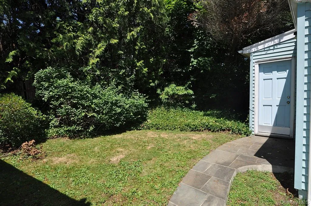 Back yard Back yard
