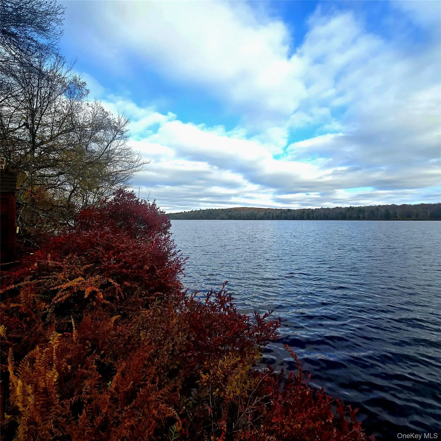 Lena Road, Forestburgh, NY, ,Land,For Rent,Lena,0,1023864 Lena Road, Forestburgh, NY, ,Land,For Rent,Lena,0,1023864