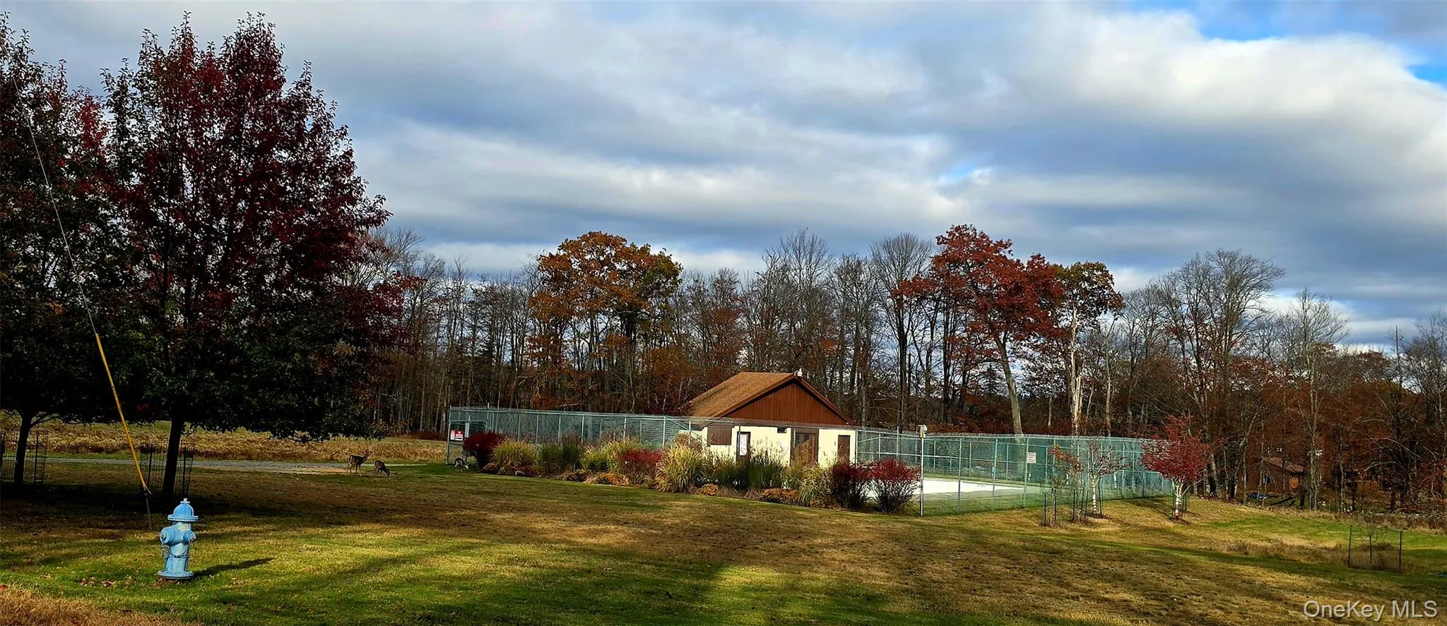 Lena Road, Forestburgh, NY, ,Land,For Rent,Lena,0,1023864 Lena Road, Forestburgh, NY, ,Land,For Rent,Lena,0,1023864