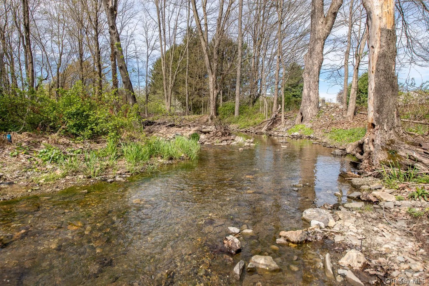 284 Waterbury Hill Road, Union Vale, NY, 3 Bedrooms Bedrooms, 8 Rooms Rooms,2 BathroomsBathrooms,Residential,For Rent,Waterbury Hill,0,1023919 284 Waterbury Hill Road, Union Vale, NY, 3 Bedrooms Bedrooms, 8 Rooms Rooms,2 BathroomsBathrooms,Residential,For Rent,Waterbury Hill,0,1023919