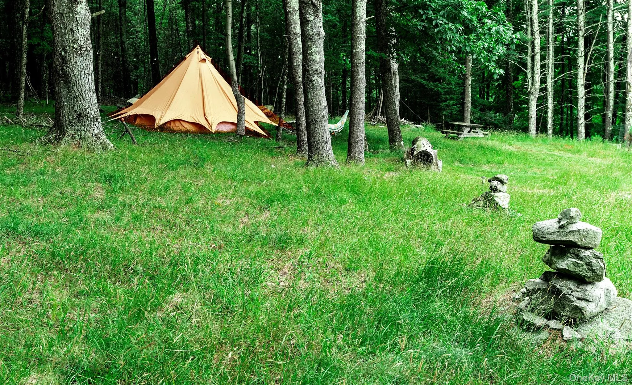 View of the campsite set at the edge of the beautiful woodland on the hill side to the south of the house. View of the campsite set at the edge of the beautiful woodland on the hill side to the south of the house.