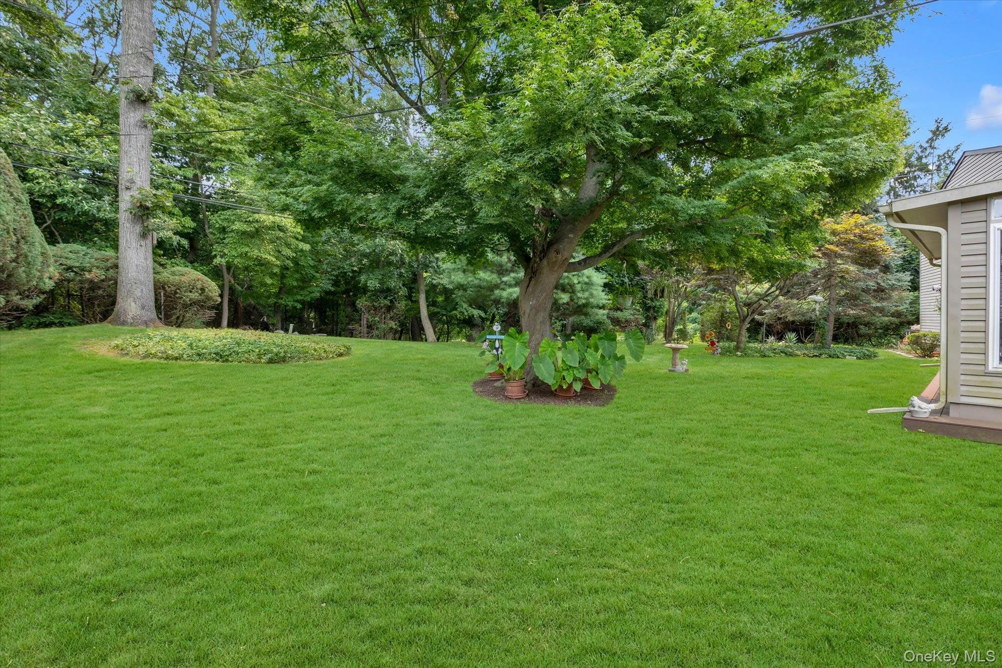 27 Fisher Road, Huntington, NY, 3 Bedrooms Bedrooms, 8 Rooms Rooms,2 BathroomsBathrooms,Residential,For Rent,Fisher,0,1023987 27 Fisher Road, Huntington, NY, 3 Bedrooms Bedrooms, 8 Rooms Rooms,2 BathroomsBathrooms,Residential,For Rent,Fisher,0,1023987