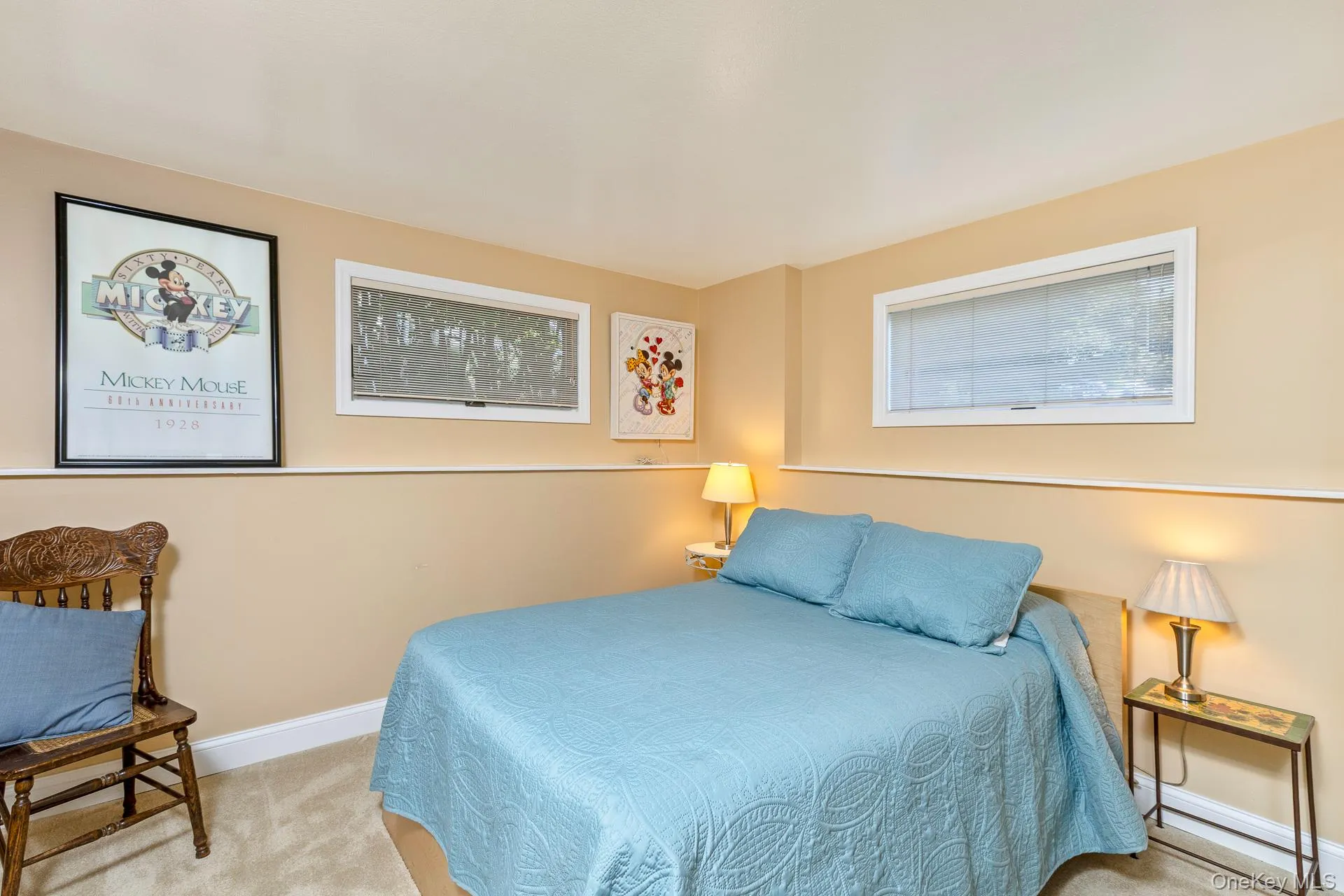 Lower Level Bedroom or Office Lower Level Bedroom or Office