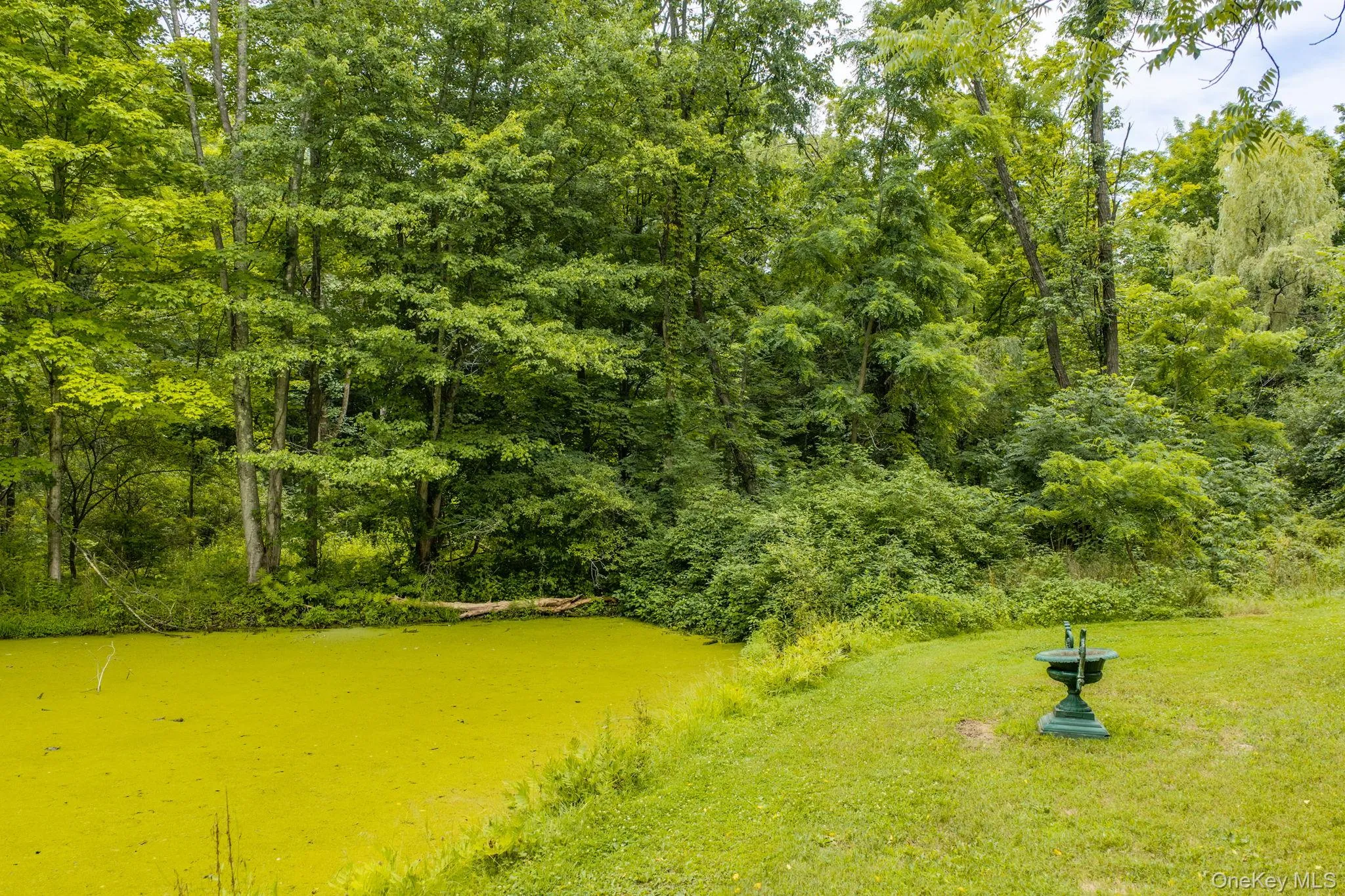 4 Plains Road, Montgomery, NY, 3 Bedrooms Bedrooms, 9 Rooms Rooms,1 BathroomBathrooms,Residential,For Rent,Plains,0,1024006 4 Plains Road, Montgomery, NY, 3 Bedrooms Bedrooms, 9 Rooms Rooms,1 BathroomBathrooms,Residential,For Rent,Plains,0,1024006