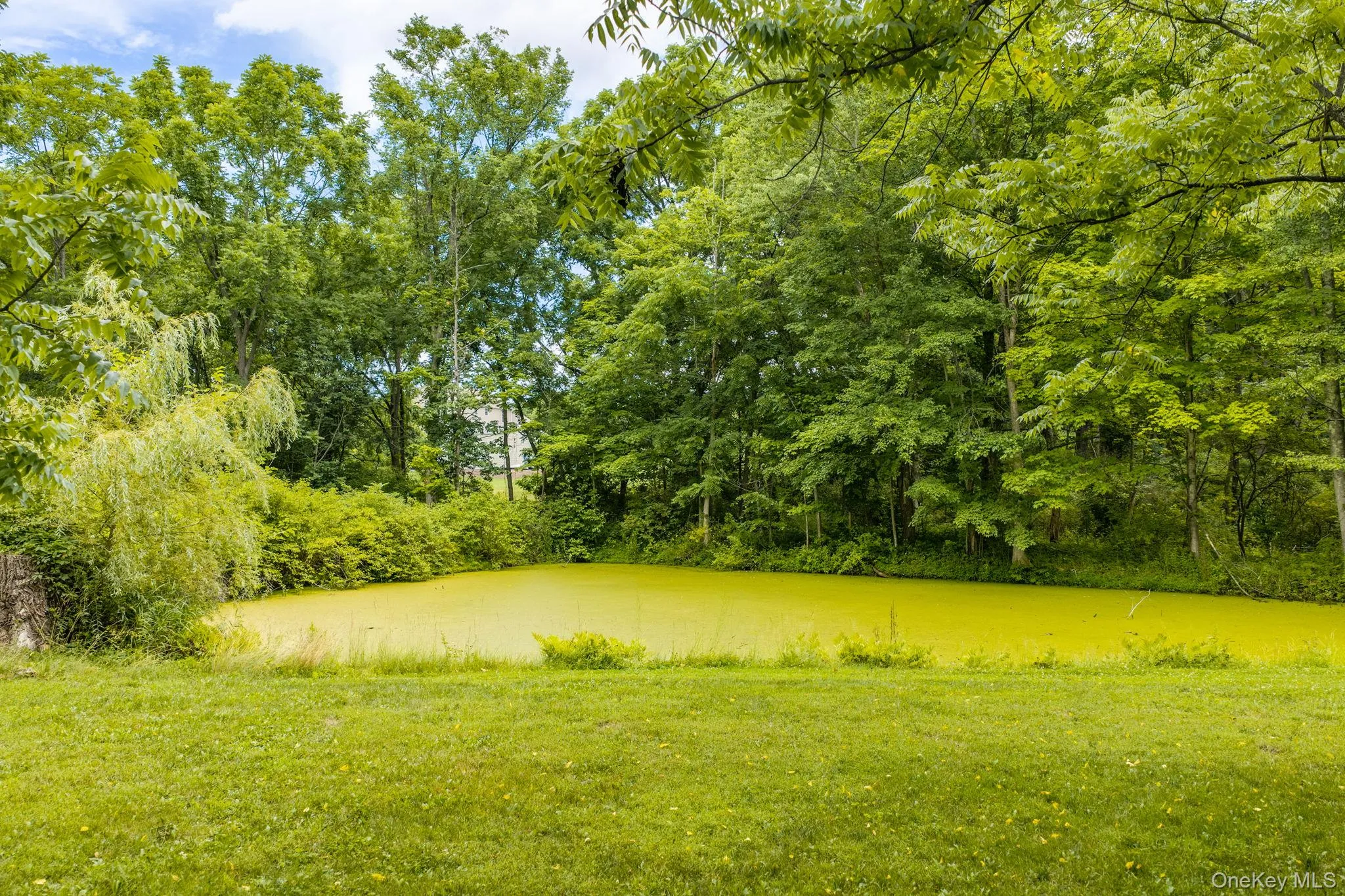 4 Plains Road, Montgomery, NY, 3 Bedrooms Bedrooms, 9 Rooms Rooms,1 BathroomBathrooms,Residential,For Rent,Plains,0,1024006 4 Plains Road, Montgomery, NY, 3 Bedrooms Bedrooms, 9 Rooms Rooms,1 BathroomBathrooms,Residential,For Rent,Plains,0,1024006