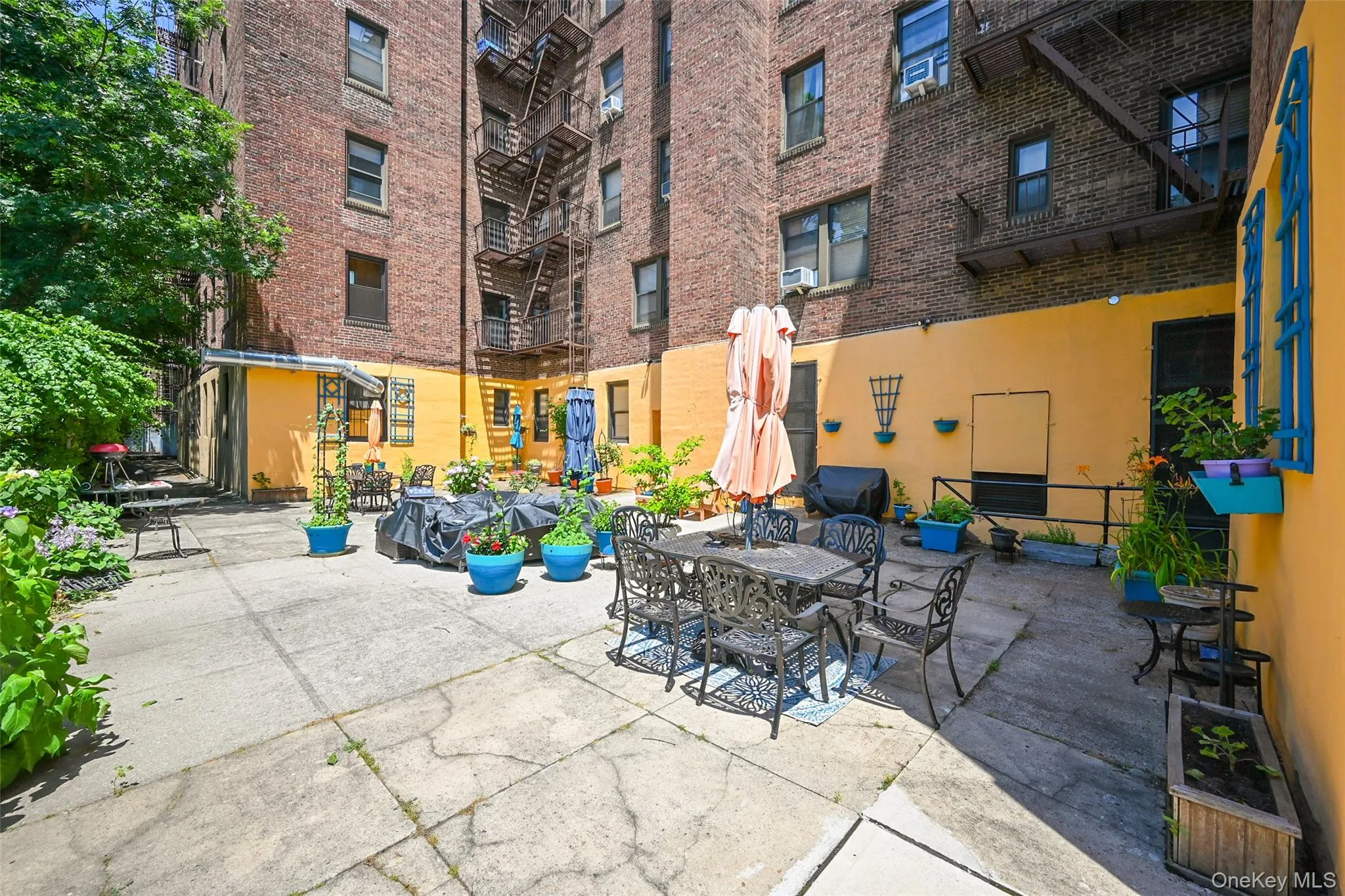 77-16 Austin Street, New York, NY, 1 Bedroom Bedrooms, 4 Rooms Rooms,1 BathroomBathrooms,Residential,For Rent,Austin,0,1024013 77-16 Austin Street, New York, NY, 1 Bedroom Bedrooms, 4 Rooms Rooms,1 BathroomBathrooms,Residential,For Rent,Austin,0,1024013