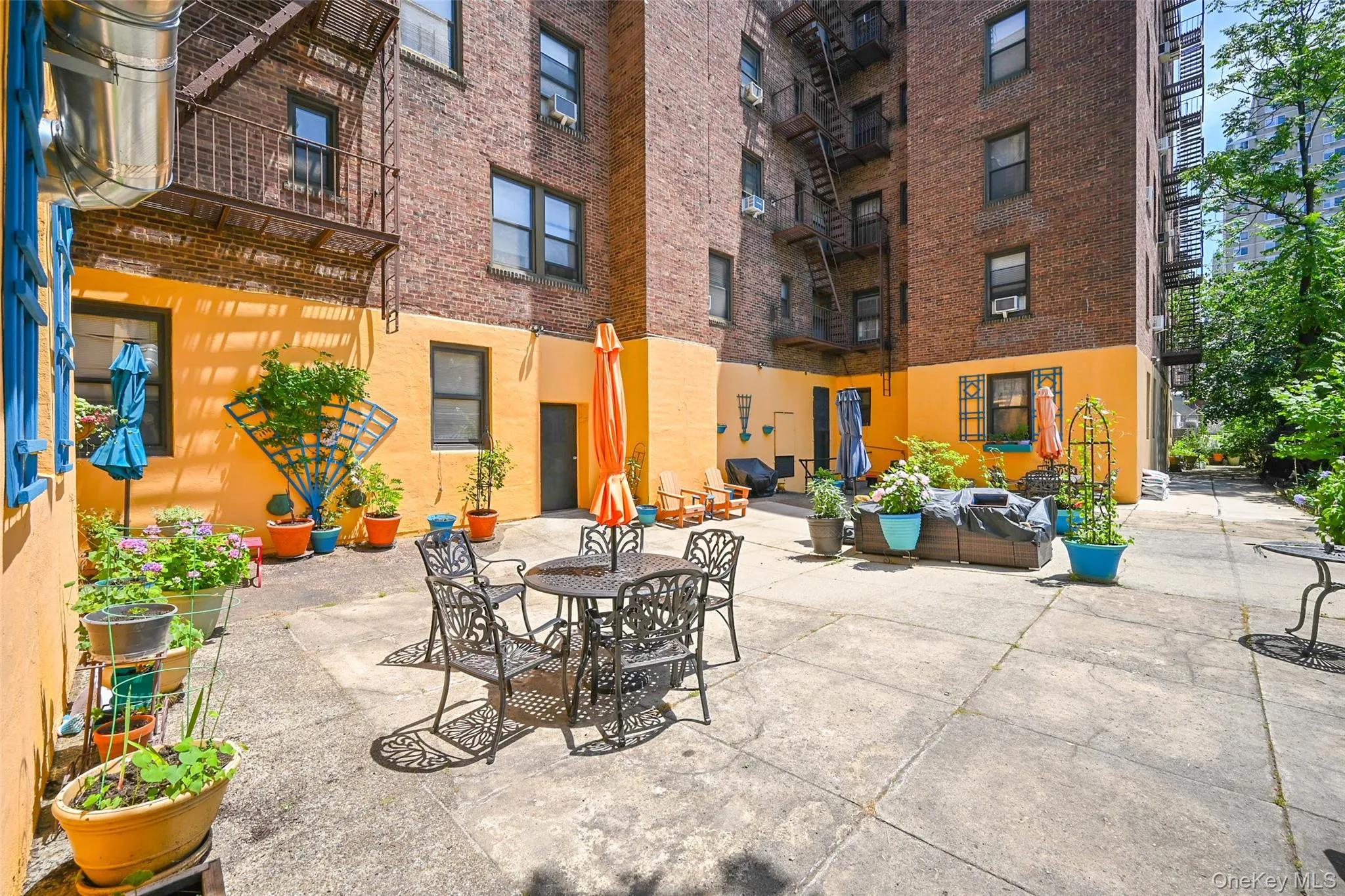 77-16 Austin Street, New York, NY, 1 Bedroom Bedrooms, 4 Rooms Rooms,1 BathroomBathrooms,Residential,For Rent,Austin,0,1024013 77-16 Austin Street, New York, NY, 1 Bedroom Bedrooms, 4 Rooms Rooms,1 BathroomBathrooms,Residential,For Rent,Austin,0,1024013