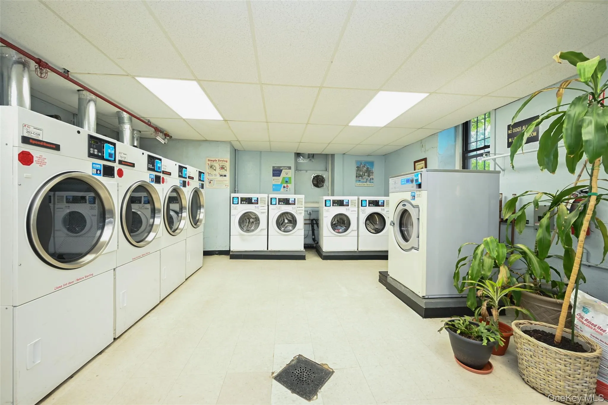 77-16 Austin Street, New York, NY, 1 Bedroom Bedrooms, 4 Rooms Rooms,1 BathroomBathrooms,Residential,For Rent,Austin,0,1024013 77-16 Austin Street, New York, NY, 1 Bedroom Bedrooms, 4 Rooms Rooms,1 BathroomBathrooms,Residential,For Rent,Austin,0,1024013